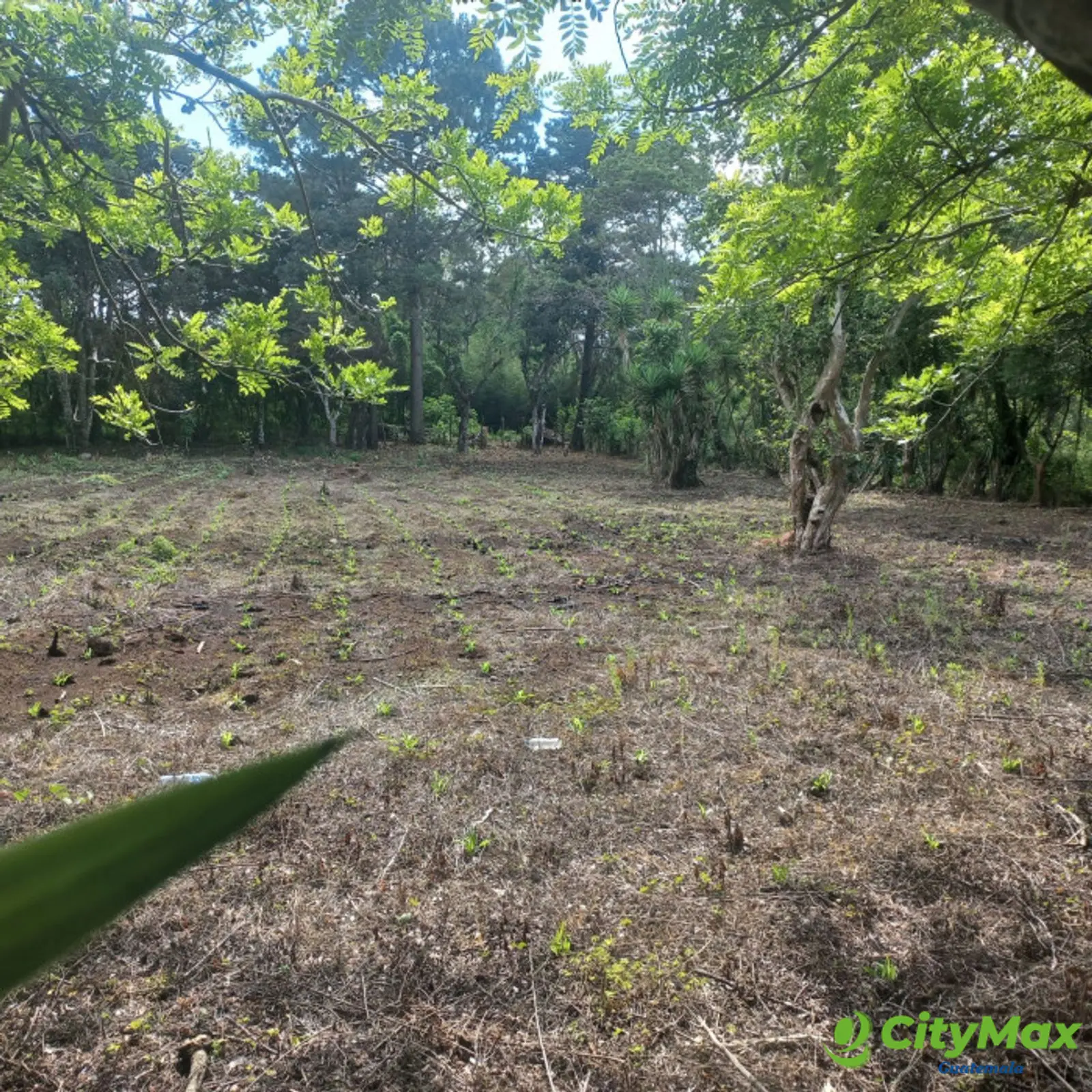 Terreno en venta Granjas Valle de Montebello/vas - foto 5