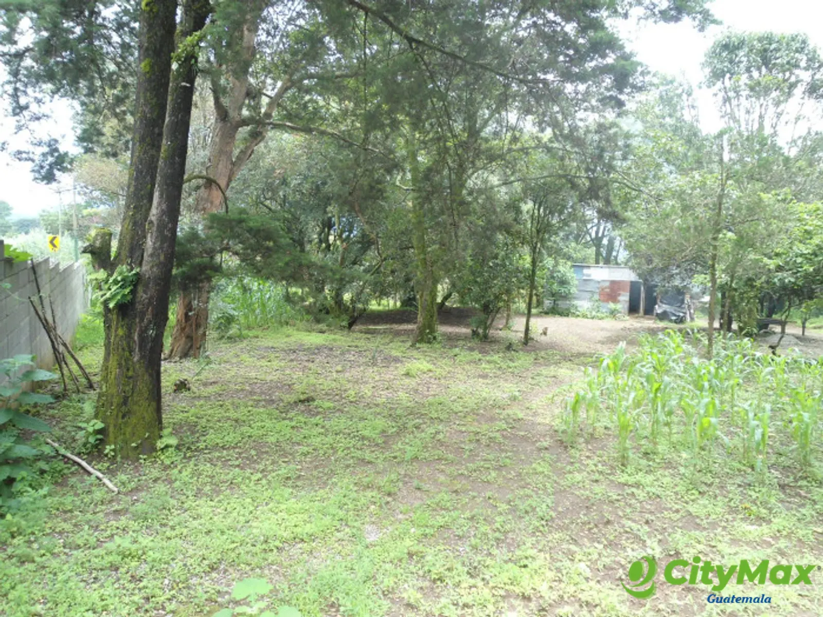 Se renta terreno de 2 manzanas Carretera al Salvador - foto 4