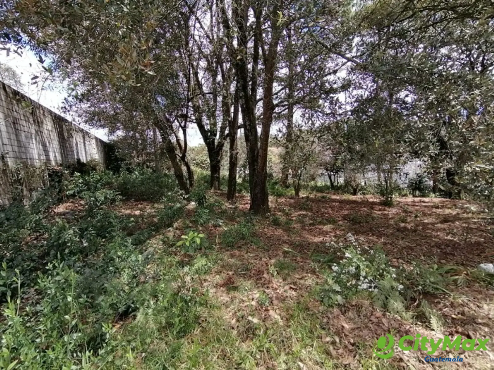Finca en venta en San Lucas Sacatepéquez - foto 13