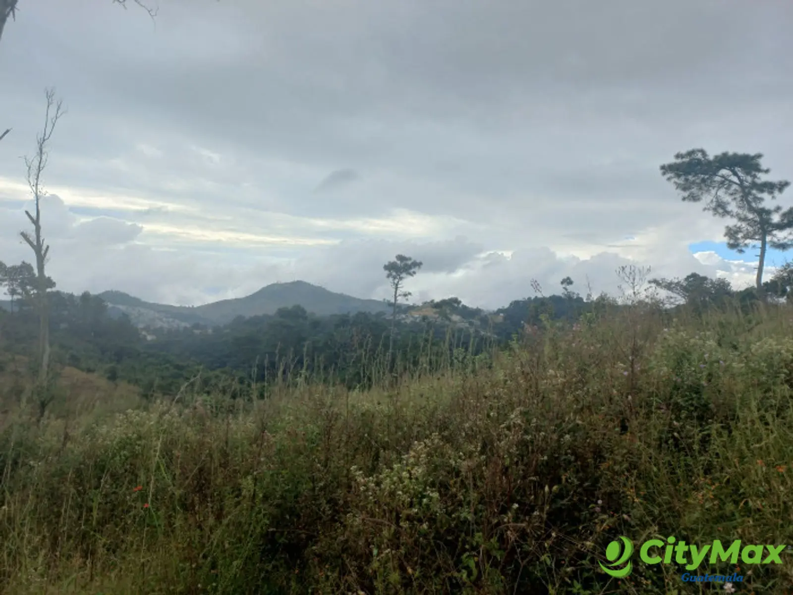 Terreno Comercial área San Pedro Ayampuc - foto 15