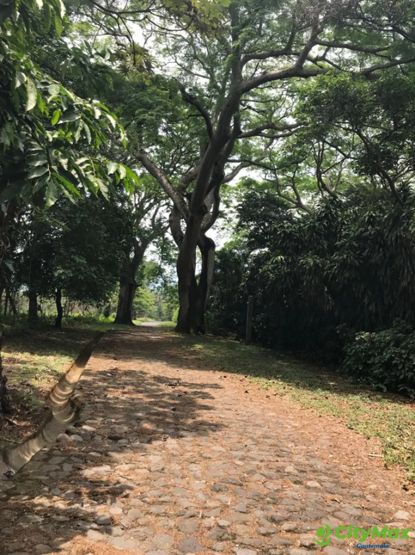 TERRENO EN VENTA CAMPO AVENTURA PALIN ESCUINTLA - foto 3