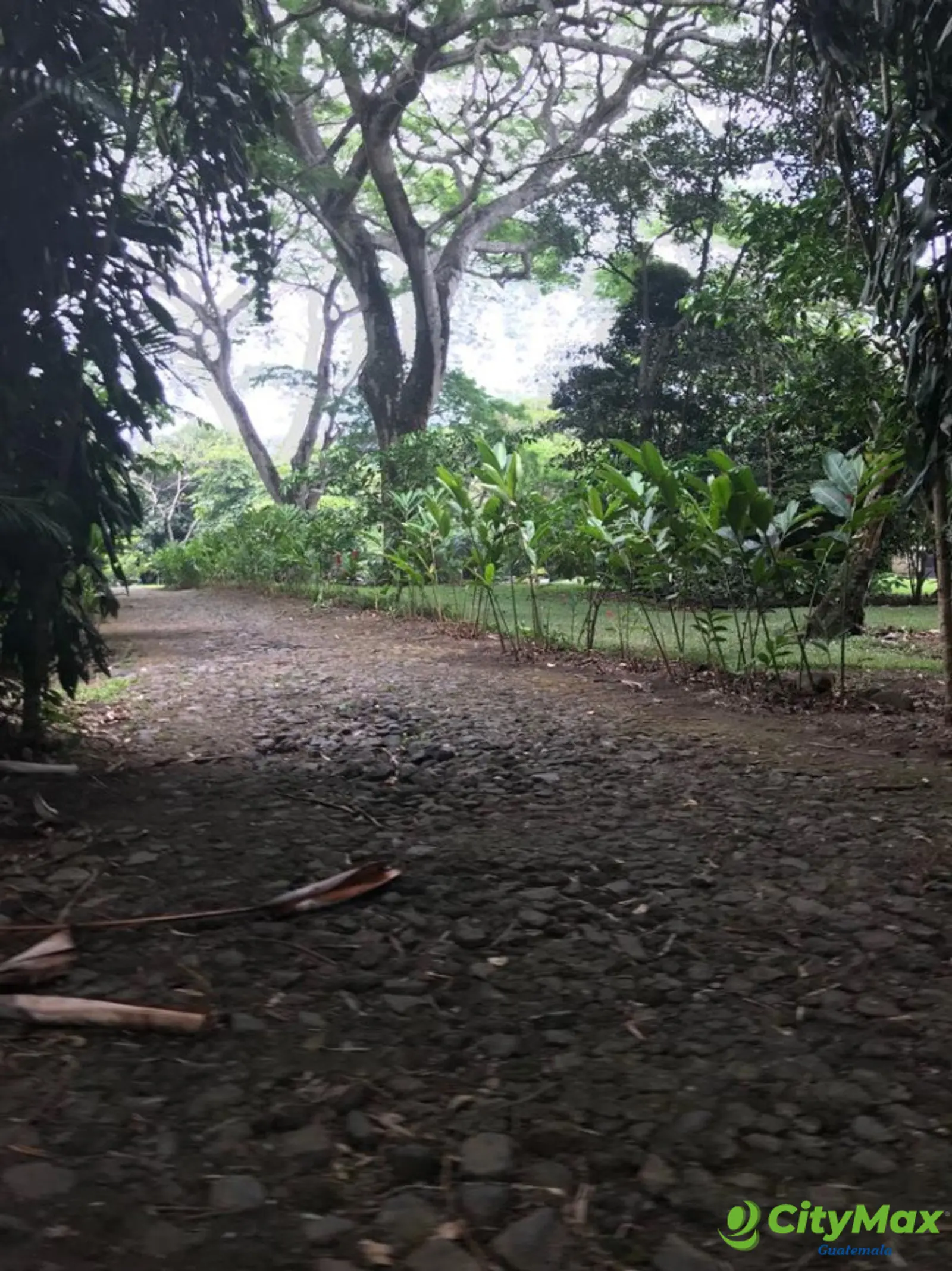 TERRENO EN VENTA CAMPO AVENTURA PALIN ESCUINTLA - foto 9