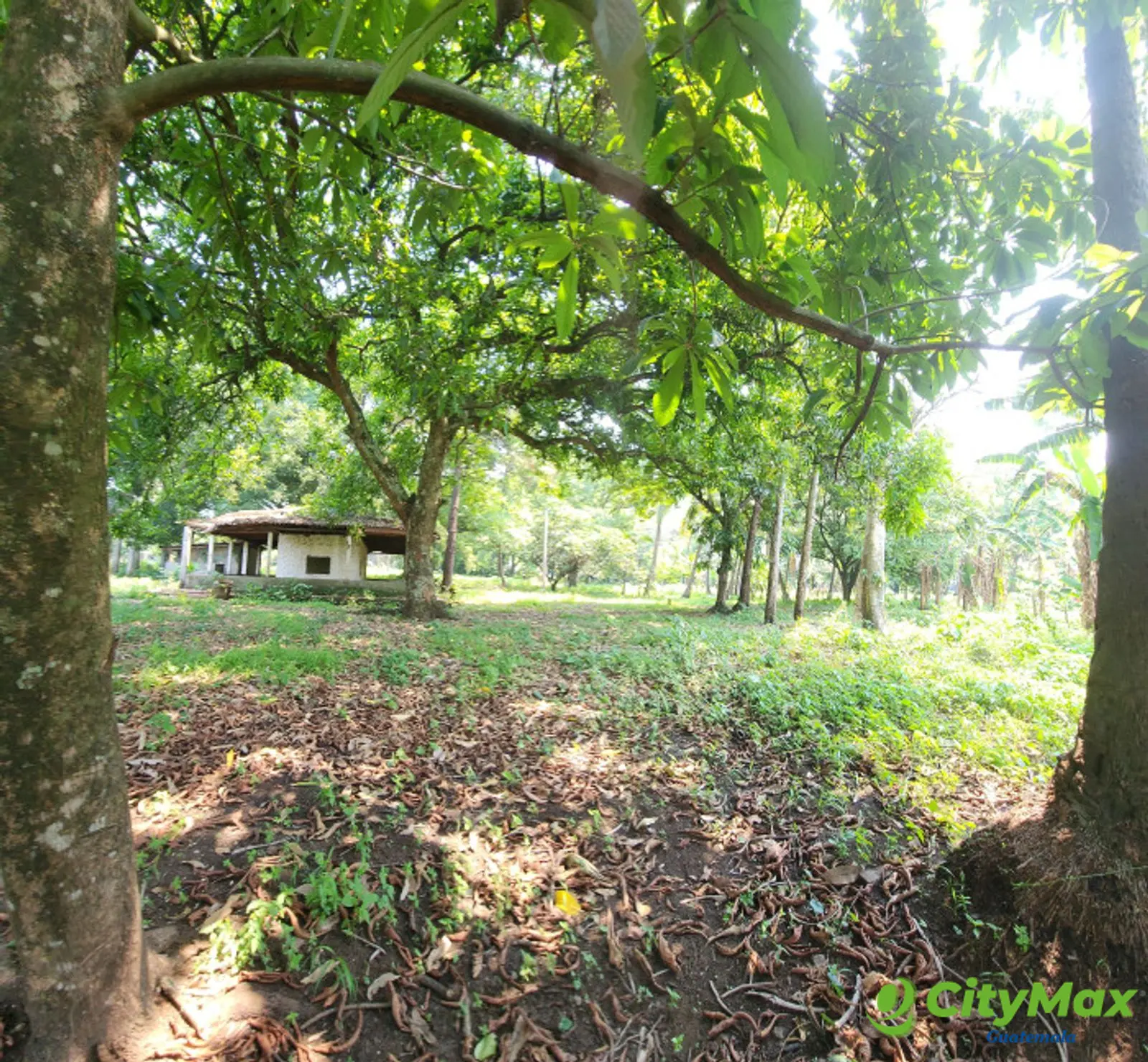 En Venta finca +40Mil Varas en el Km. 78 Ruta CA-2 - foto 17