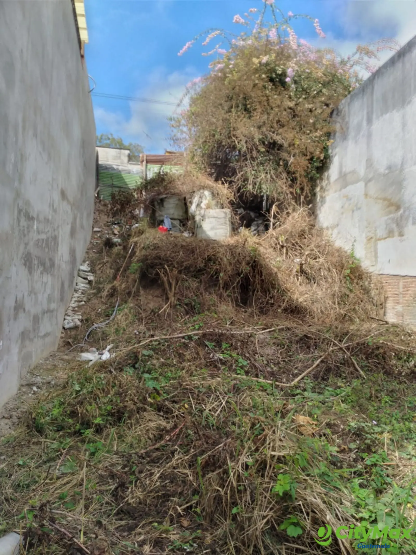 Terreno en Renta Ideal para uso Comercial en zona 2 - foto 3