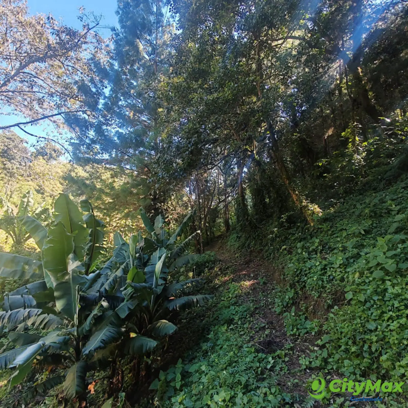 Finca en Venta de 9 manzanas en Fraijanes Guatemala - foto 12