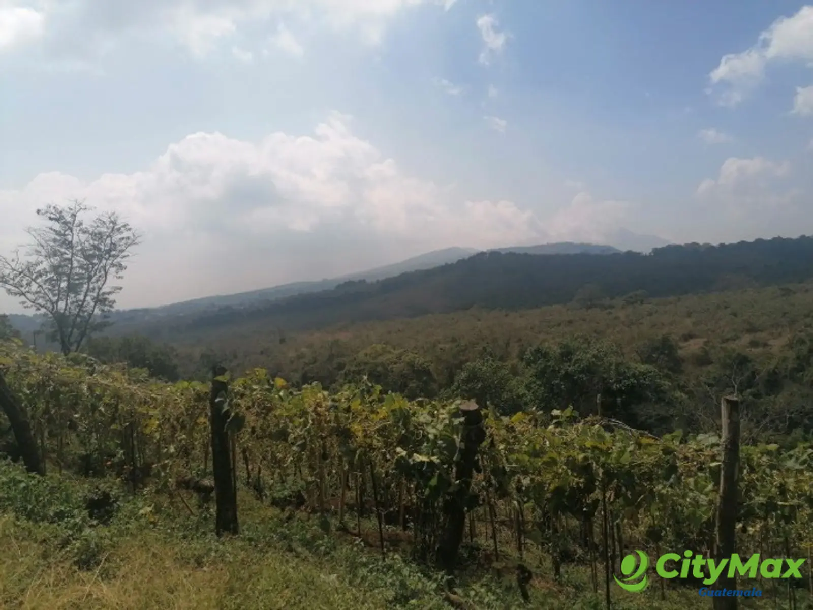 Vendo Terreno para desarrollo en Carretera El Salvador - foto 6