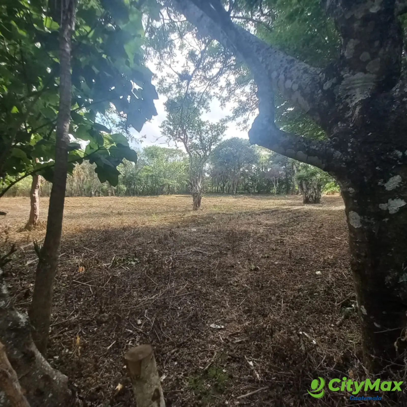Terreno en venta Granjas Valle de Montebello/vas - foto 7