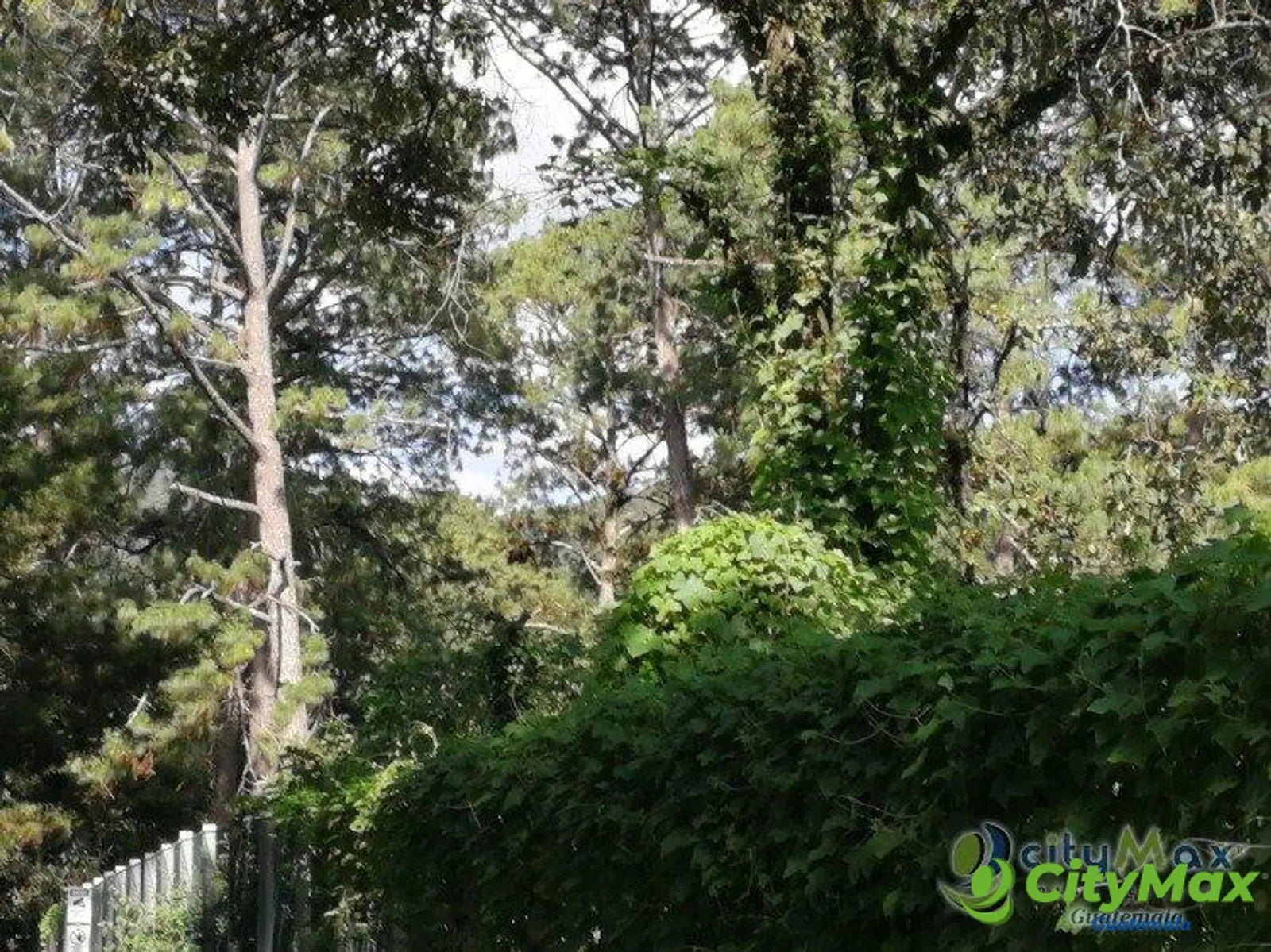Terreno residencial en venta en Los Pinos Mixco zona 7 - foto 2