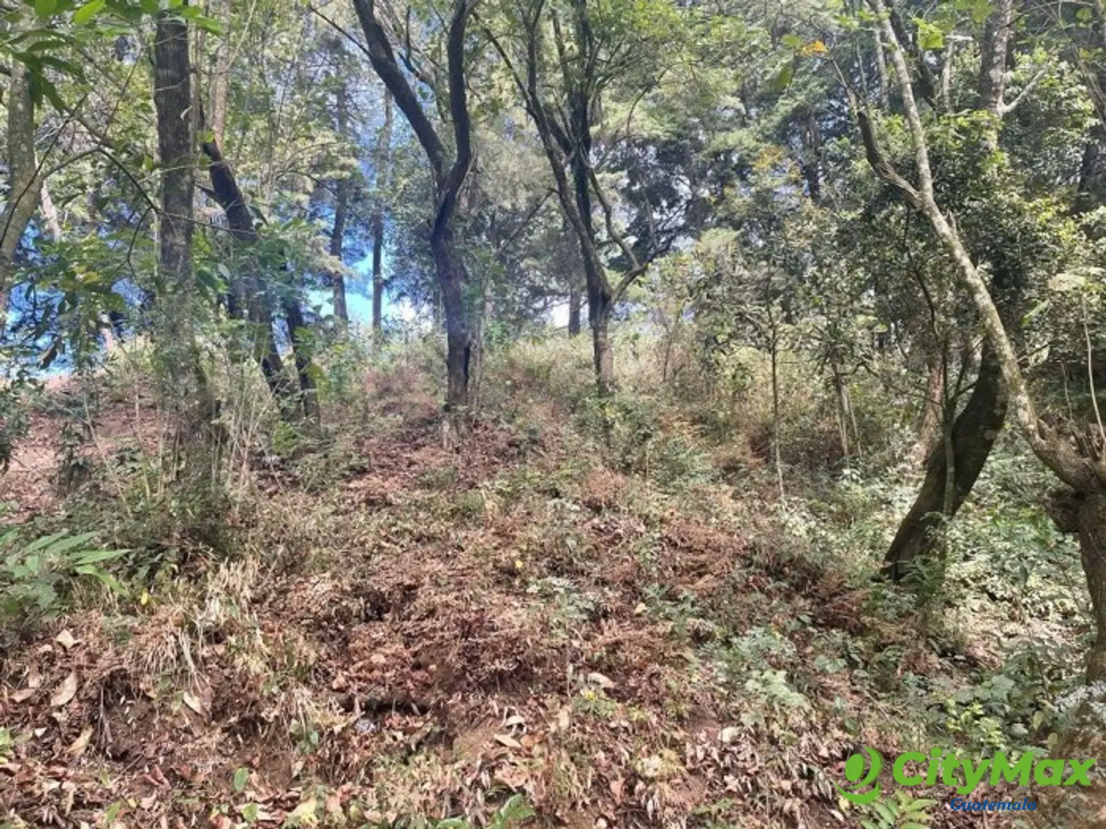 Terreno en Venta en Granja Buenos Aires - foto 8