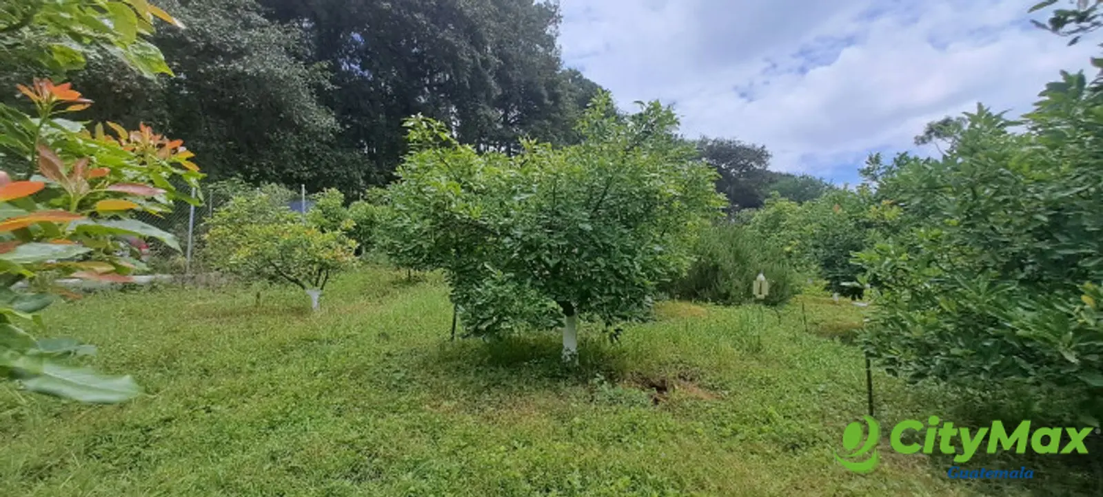 Terreno 1 manzana en venta en Santiago Sacatepequez - foto 21
