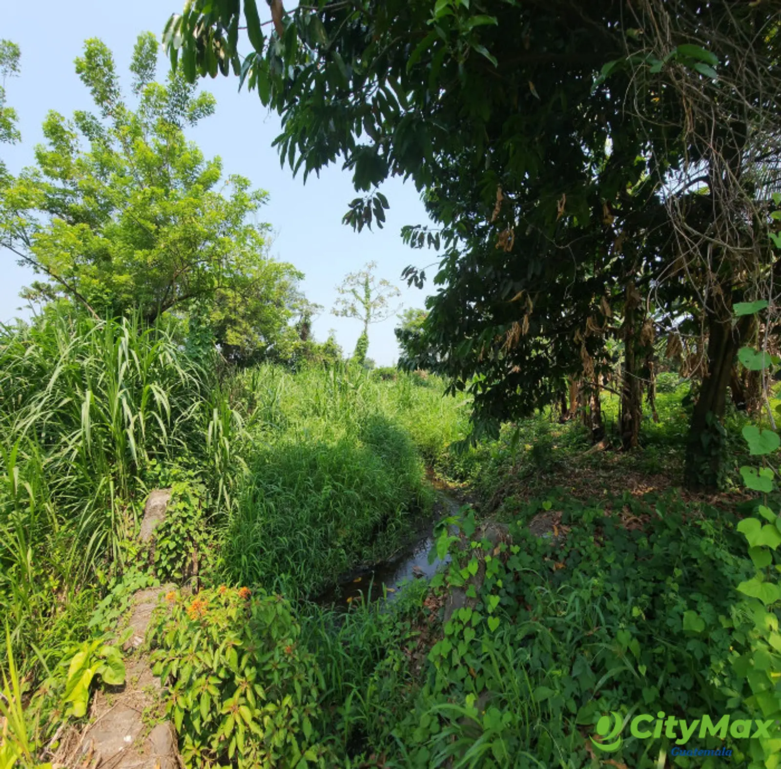 En Venta finca +40Mil Varas en el Km. 78 Ruta CA-2 - foto 20