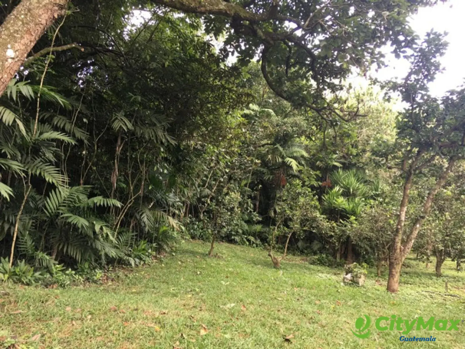 Terreno en venta Colonia trinidad zona 15 Guatemala - foto 2