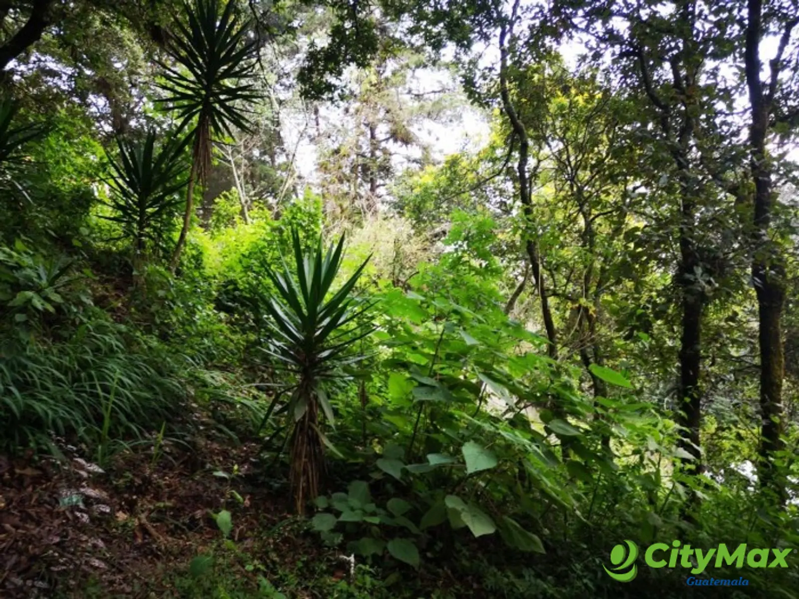 Terreno en Venta El Encinal Mixco - foto 6