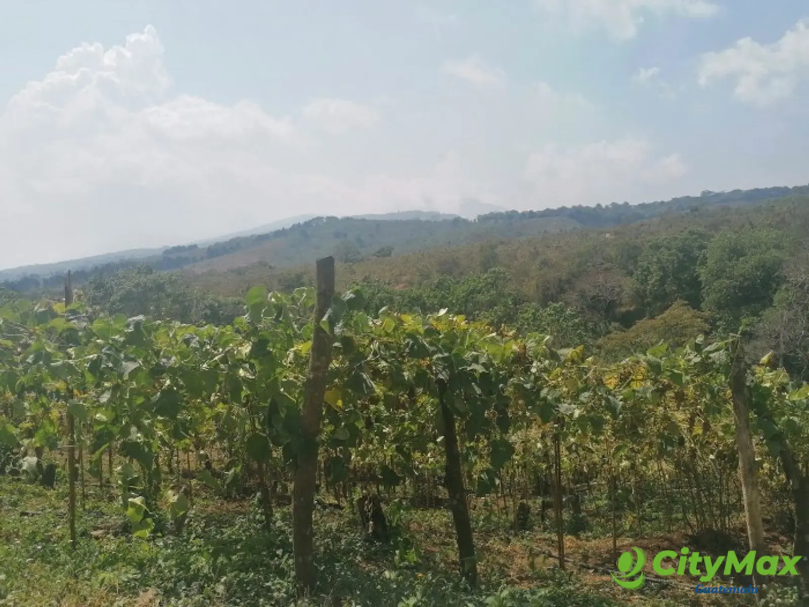 Vendo Terreno para desarrollo en Carretera El Salvador - foto 11