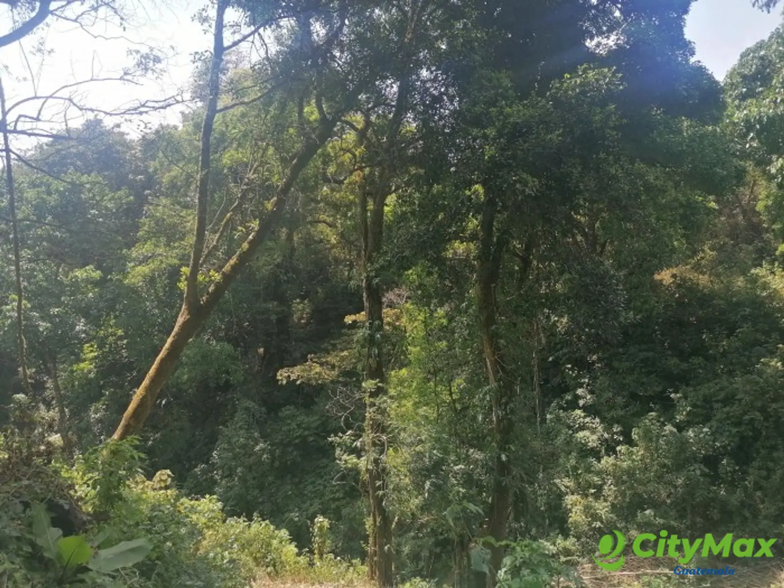 Vendo Terreno para desarrollo en Carretera El Salvador - foto 9