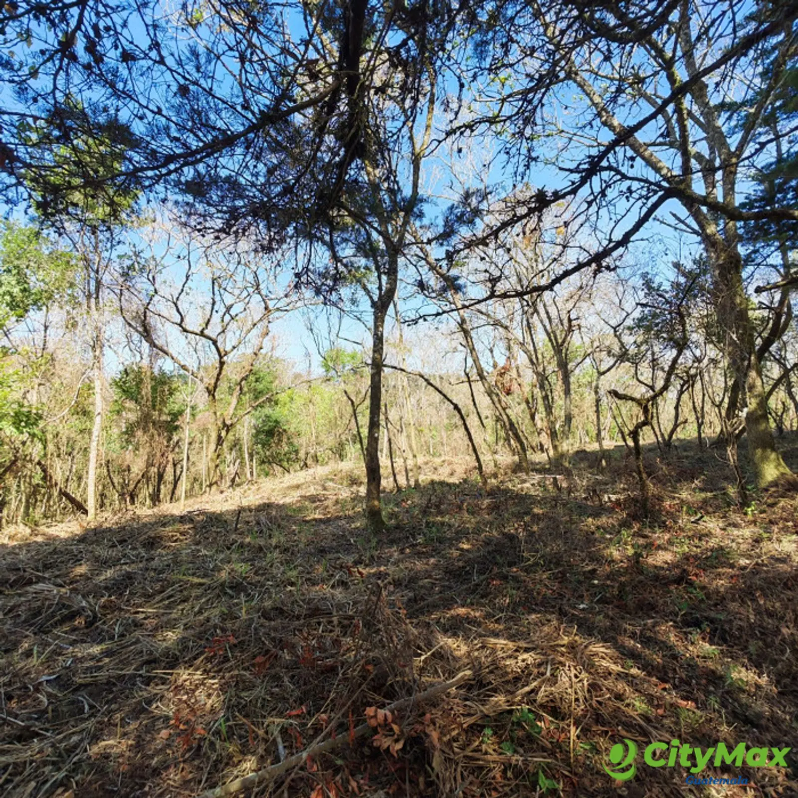 Casa & Campo Terreno en Carretera El Salvador en Venta - foto 2