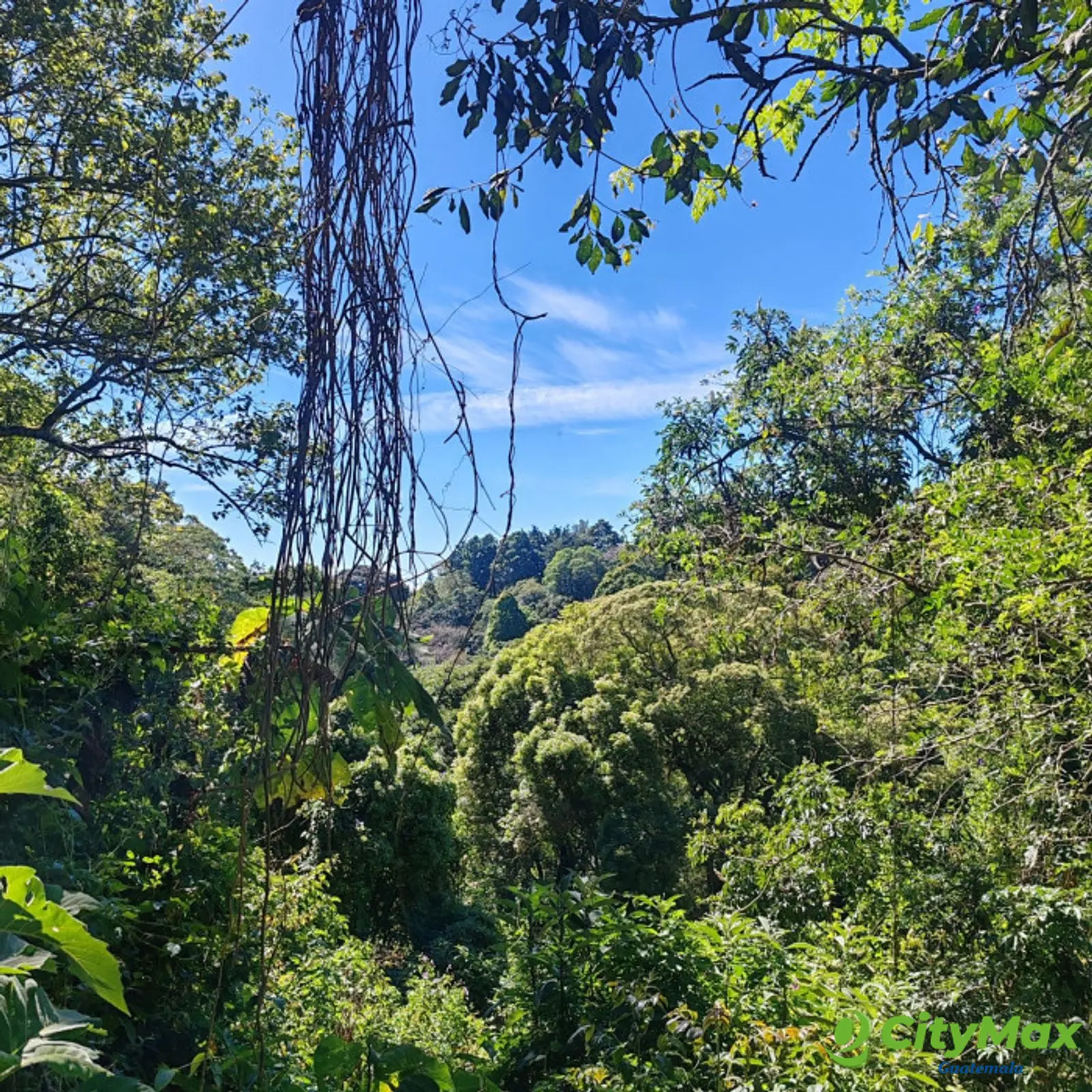 Finca en Venta de 9 manzanas en Fraijanes Guatemala - foto 13