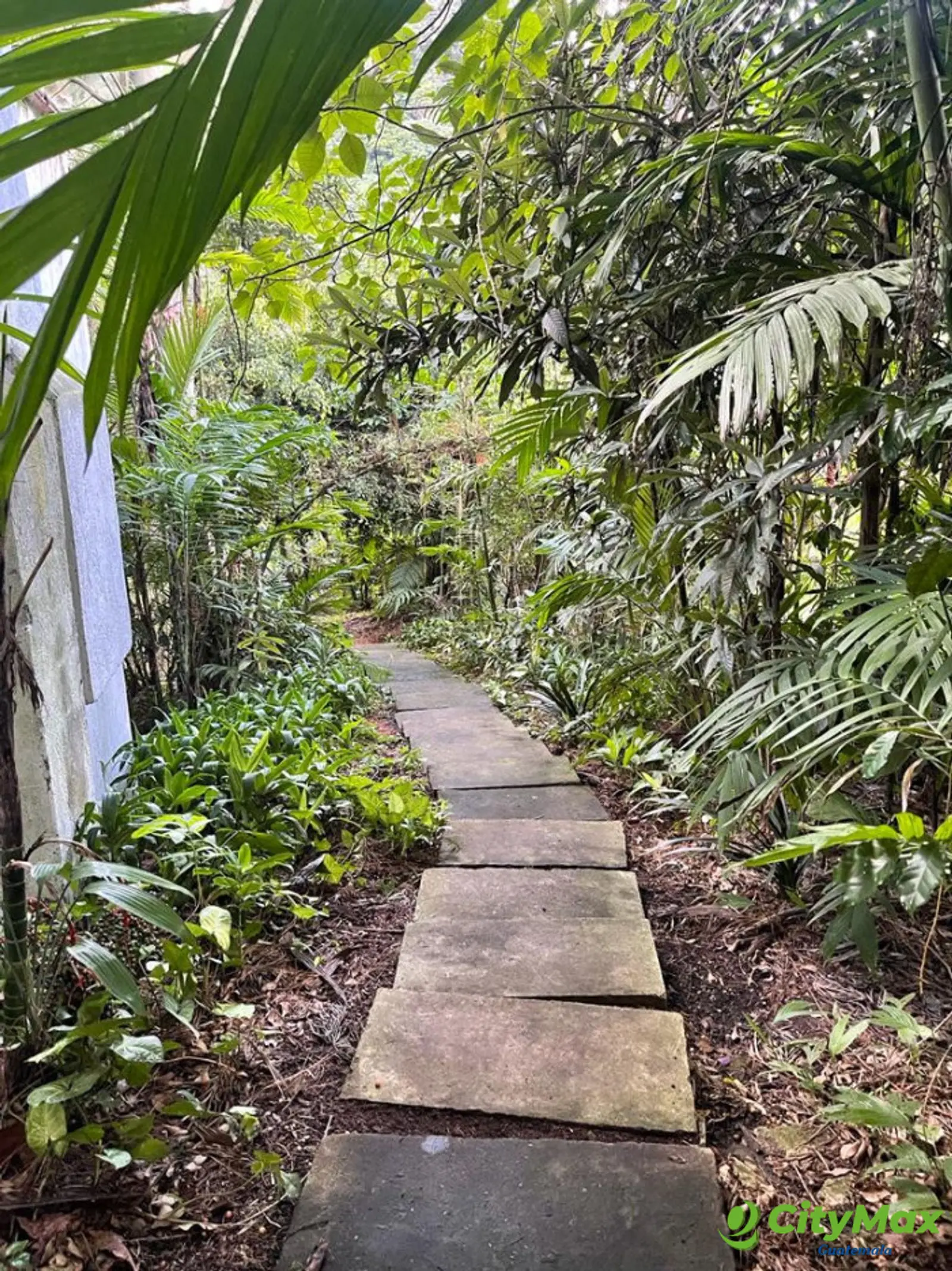 Terreno en venta Colonia trinidad zona 15 Guatemala - foto 11