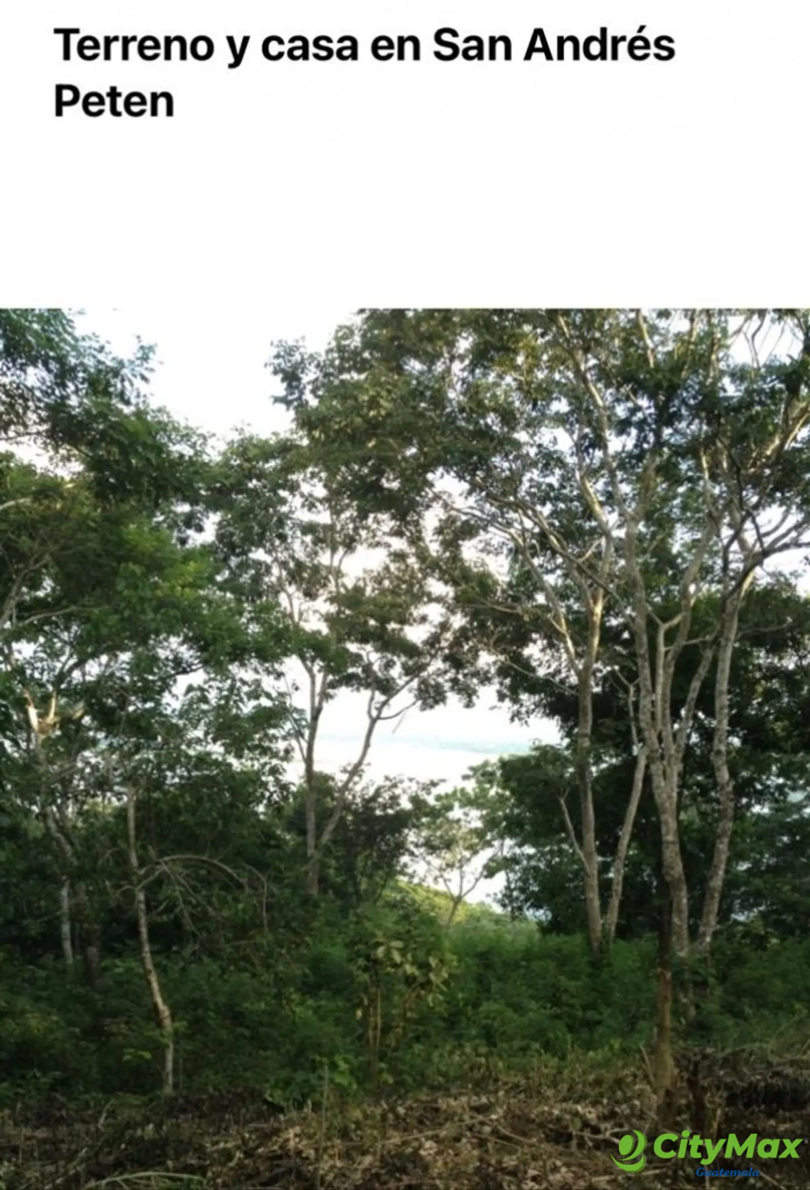 VENDO TERRENO EN SAN ANDRES PETEN - foto 5