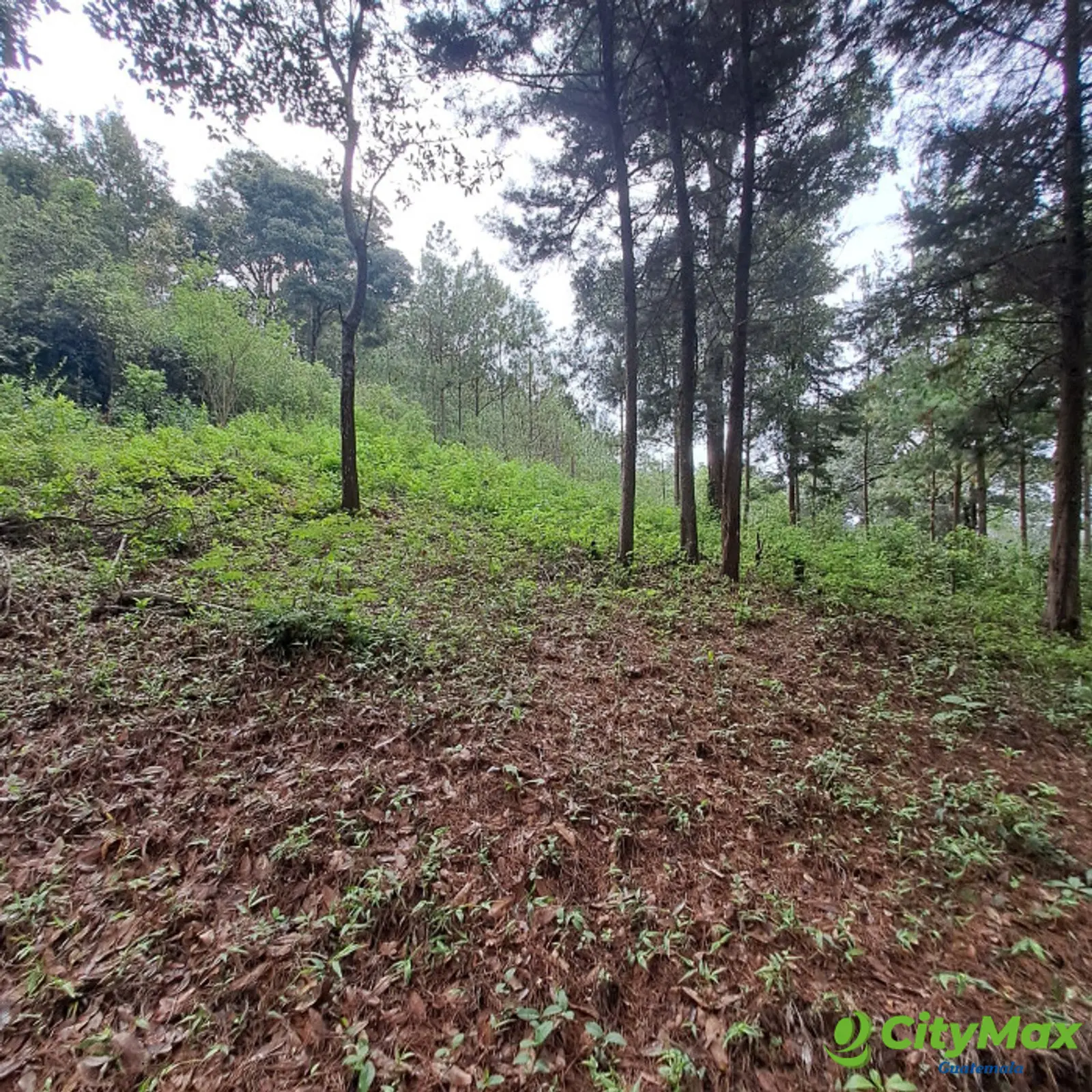Rancho Verde Fraijanes Lote en venta - foto 11