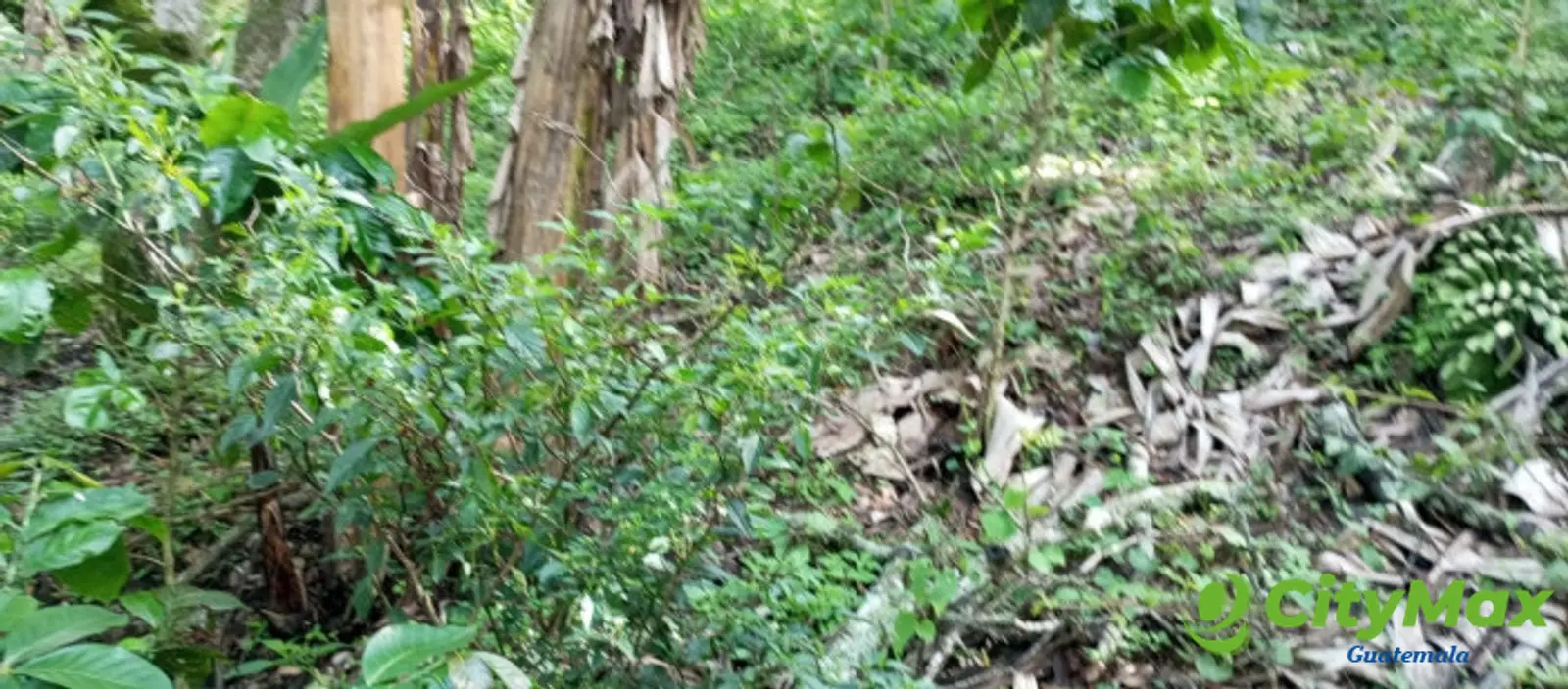 Terreno en venta para desarrollo comercial en Amatitlán - foto 15