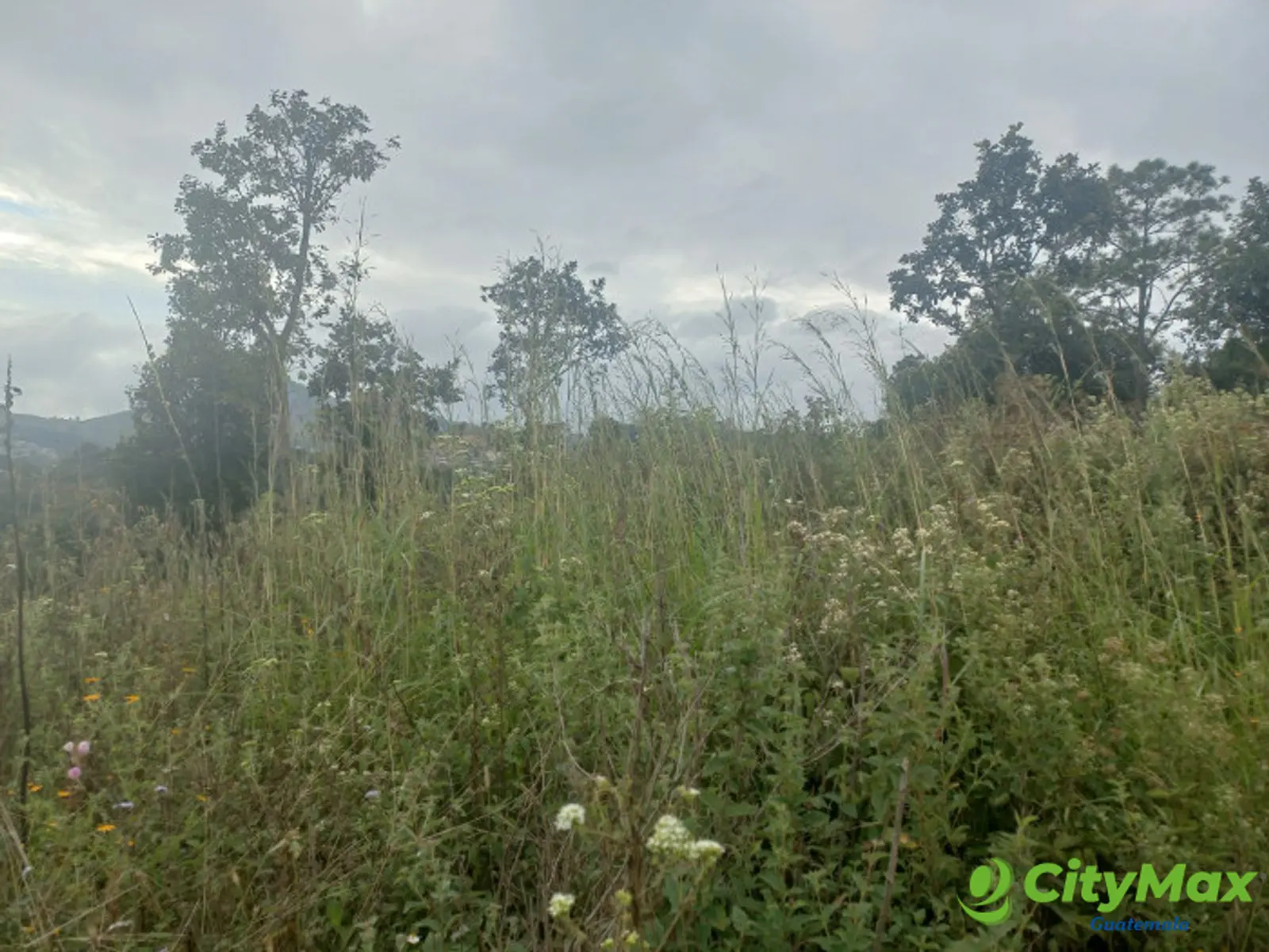 Terreno Comercial área San Pedro Ayampuc - foto 3