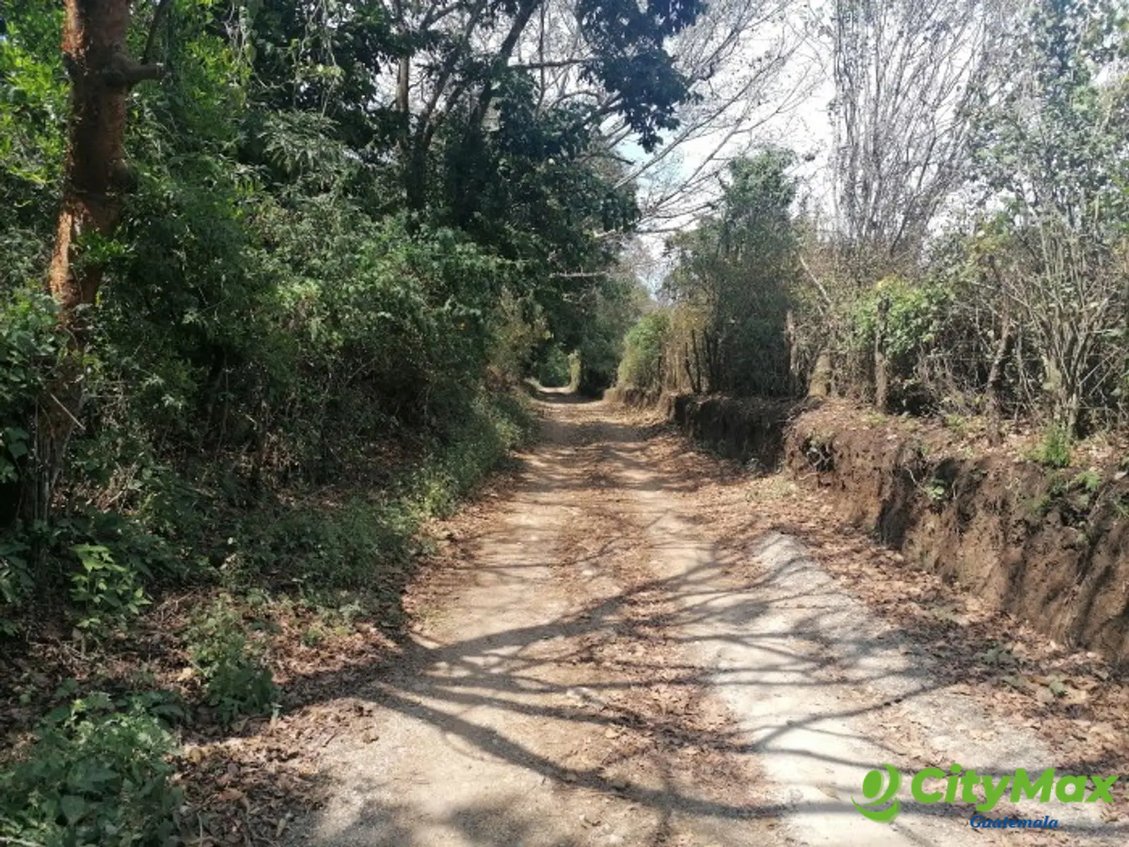 Vendo Terreno para desarrollo en Carretera El Salvador - foto 14