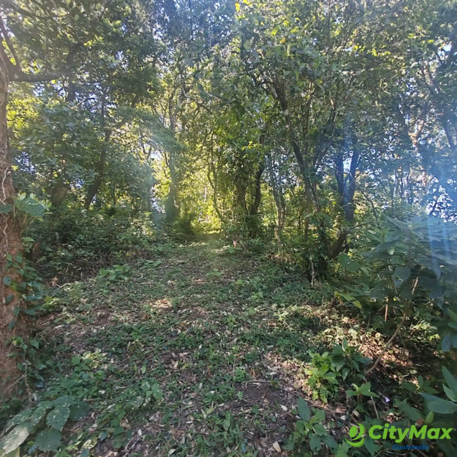 Finca en Venta de 9 manzanas en Fraijanes Guatemala - foto 9