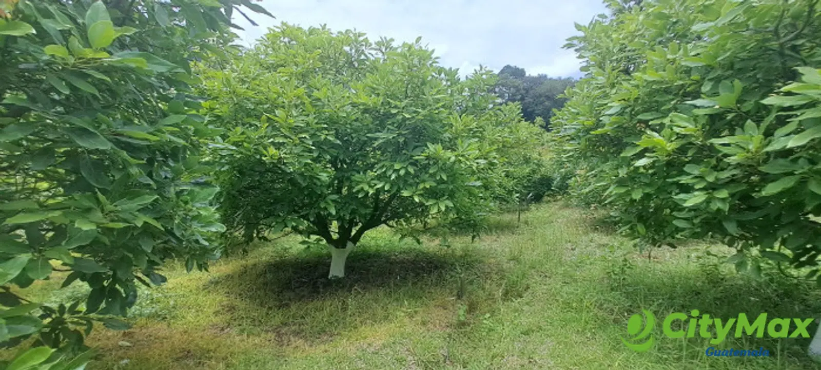 Terreno 1 manzana en venta en Santiago Sacatepequez - foto 22