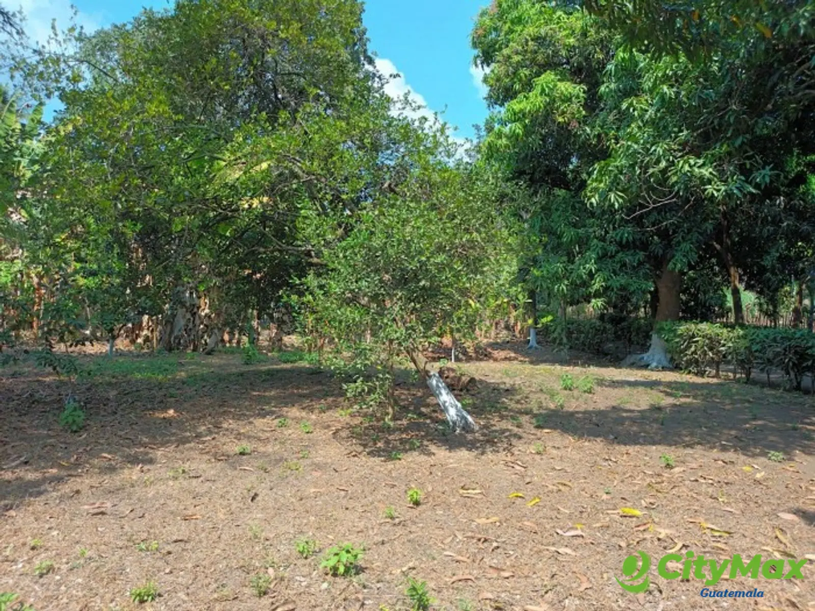 GRANJA EN RENTA PUERTO DE SAN JOSE ESCUINTLA - foto 19