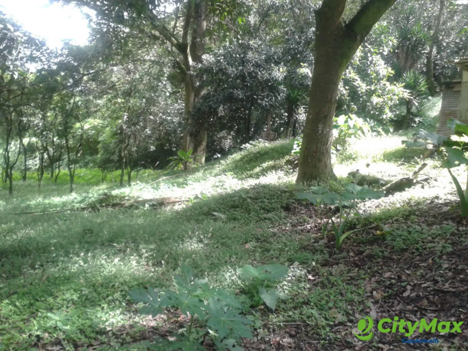 En venta terreno en zona 15 Colonia Trinidad - foto 14