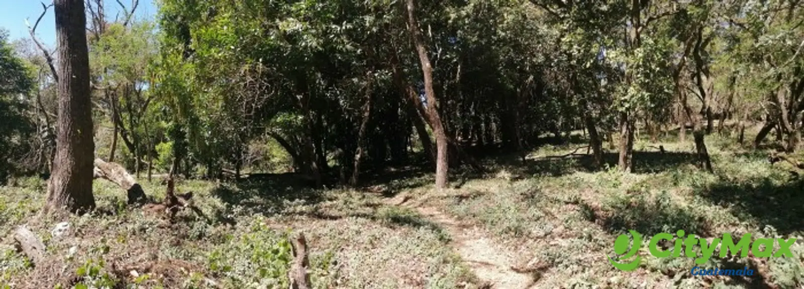 Terreno en venta dentro Residencial Premier Campestre. - foto 3