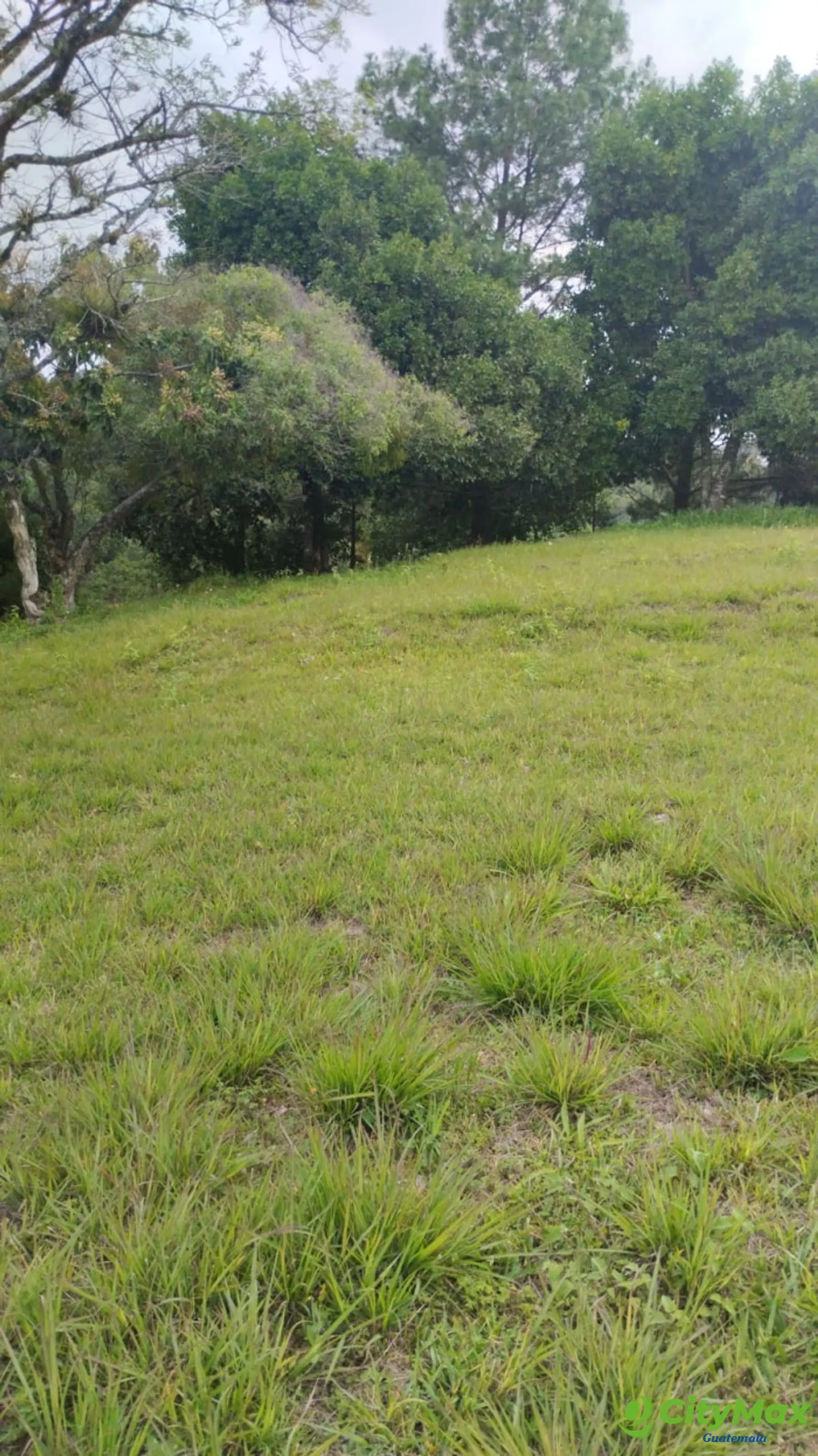Terreno en venta Bosques de Vilaverde km 26.5 CES - foto 5