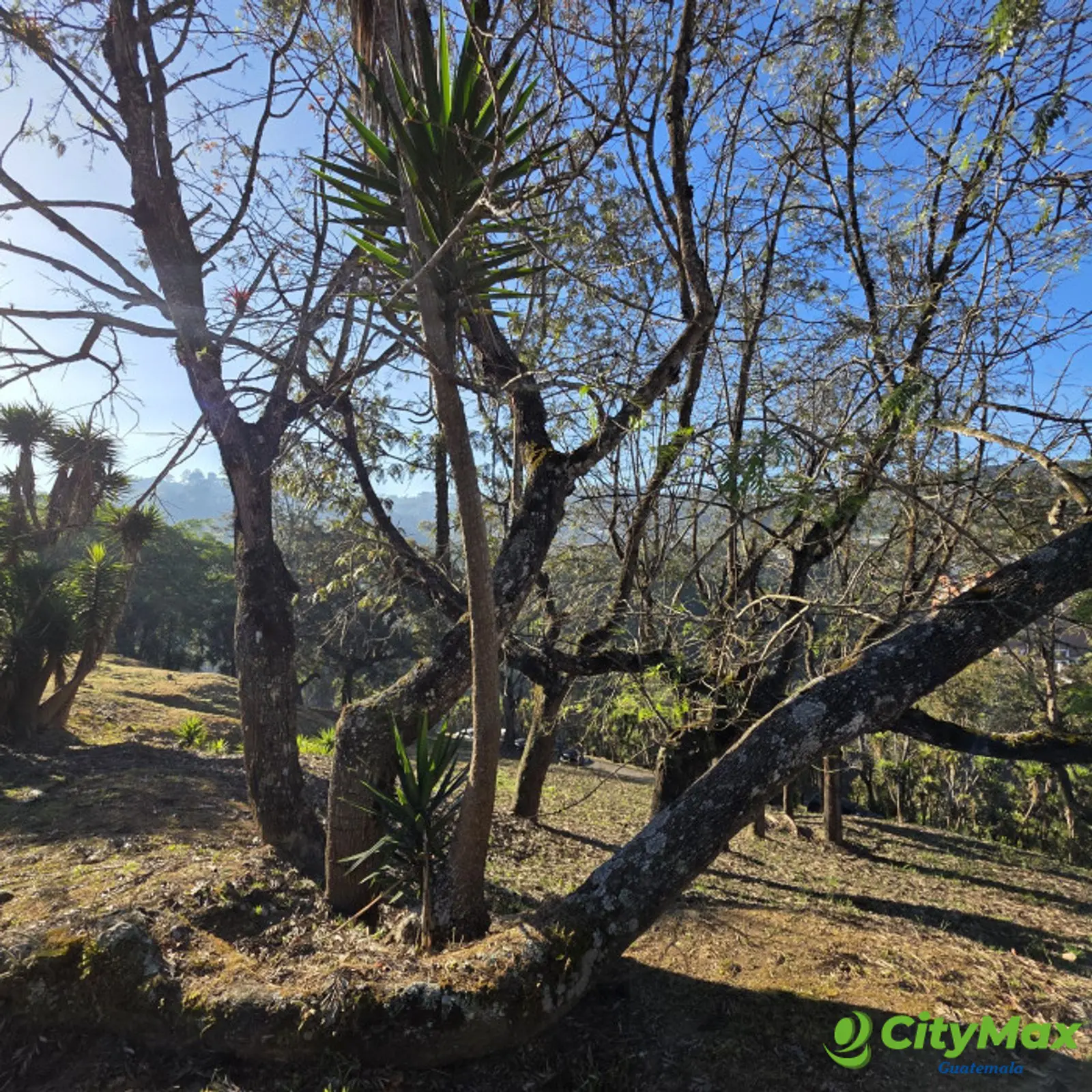 Terreno en Club de Golf San Isidro Zona 16 Guatemala - foto 7