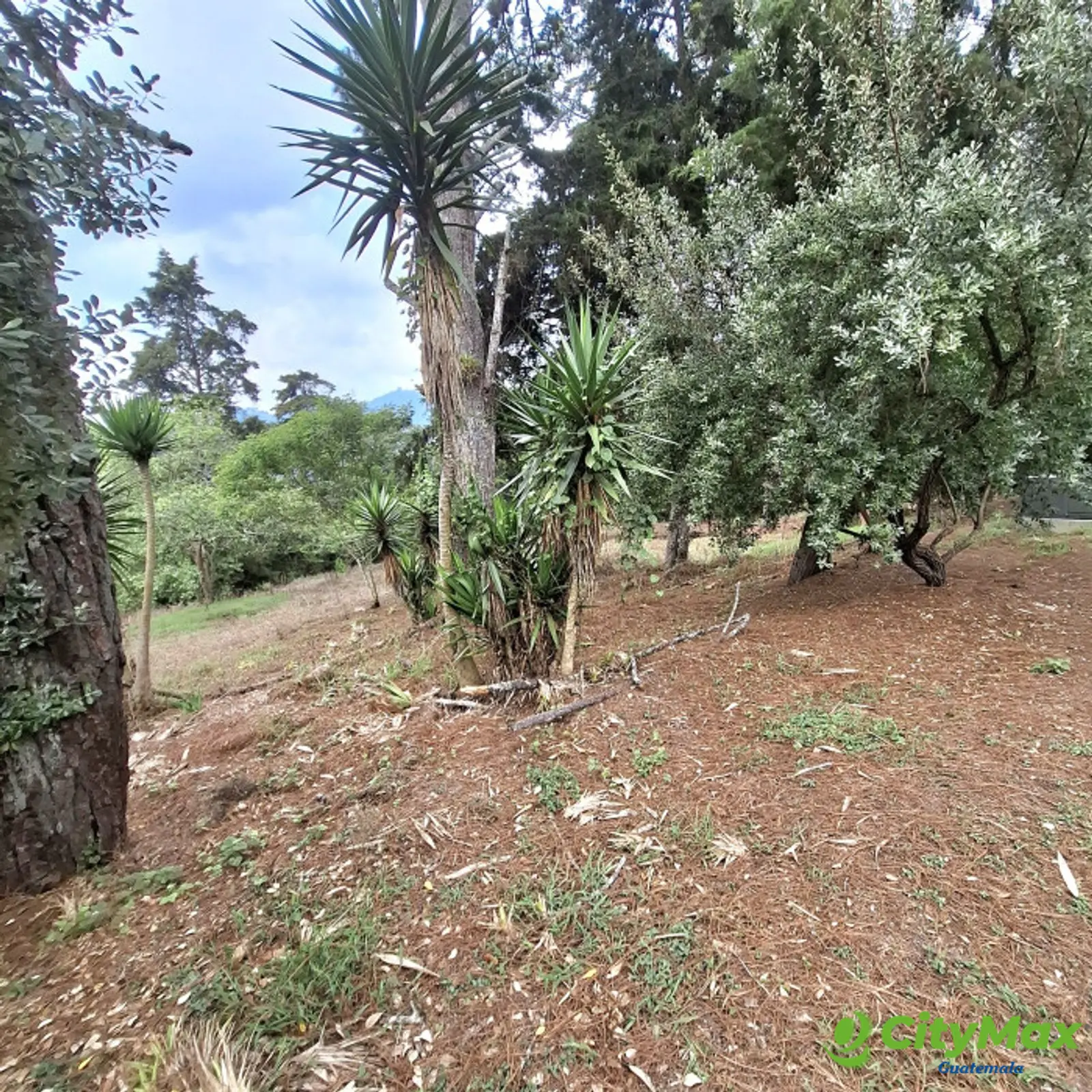 En Venta Terreno en Villa Ecuestre El Pulté Guatemala - foto 7
