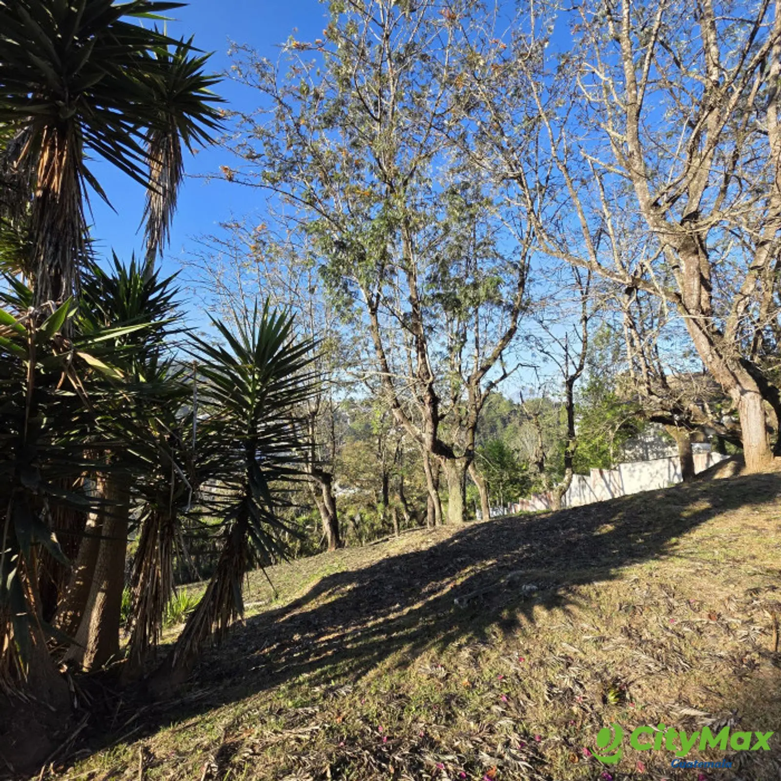 Terreno en Club de Golf San Isidro Zona 16 Guatemala - foto 5