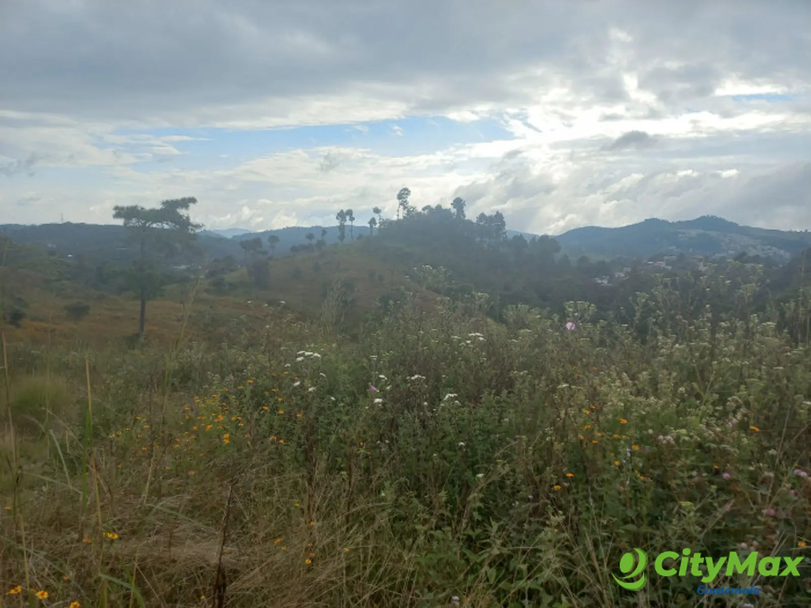 Terreno Comercial área San Pedro Ayampuc - foto 2