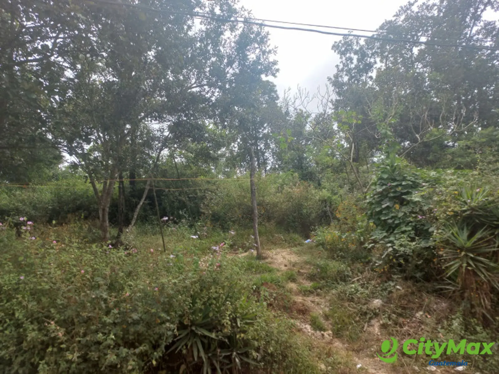 Terreno Comercial área San Pedro Ayampuc - foto 16
