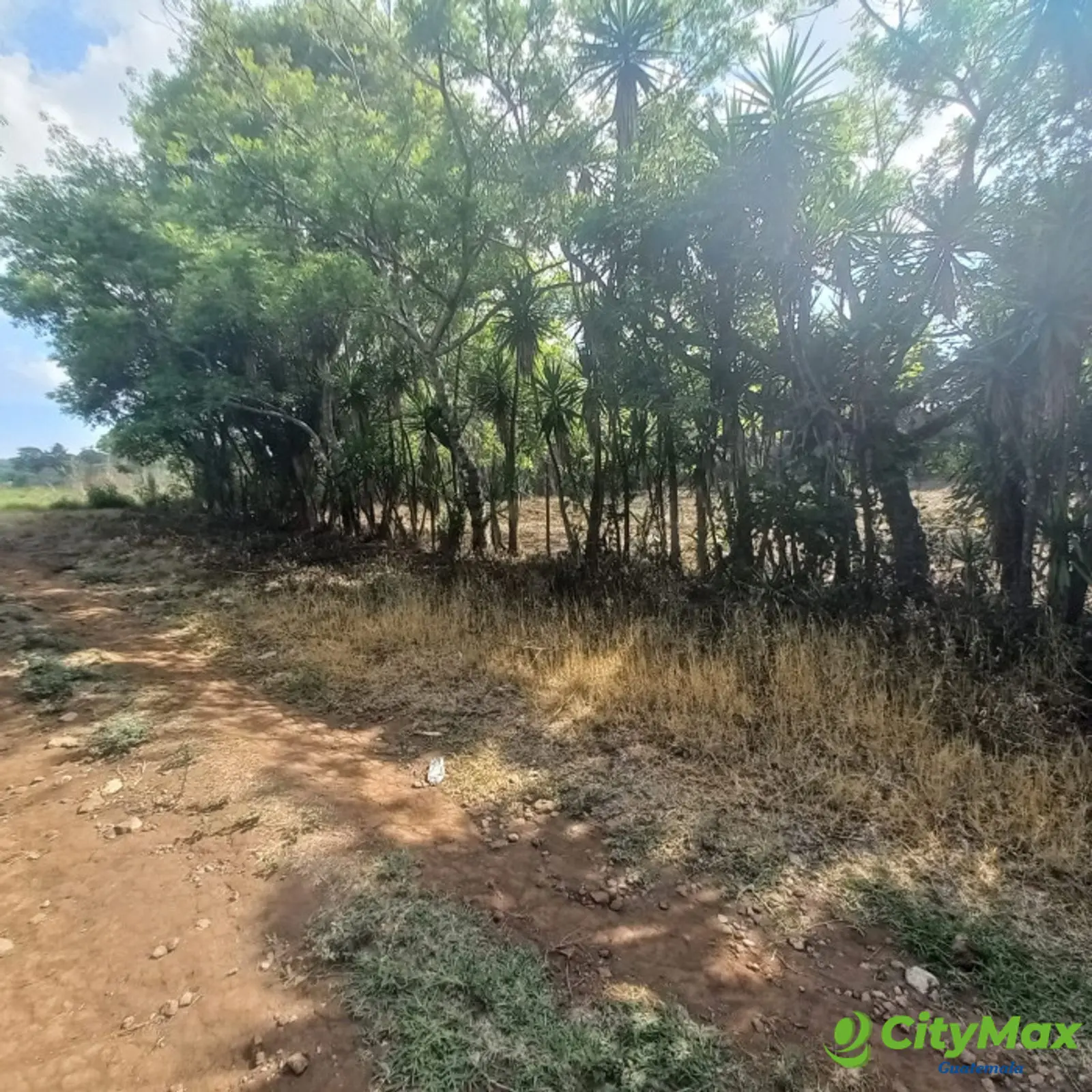 Terreno en venta Granjas Valle de Montebello/vas - foto 9