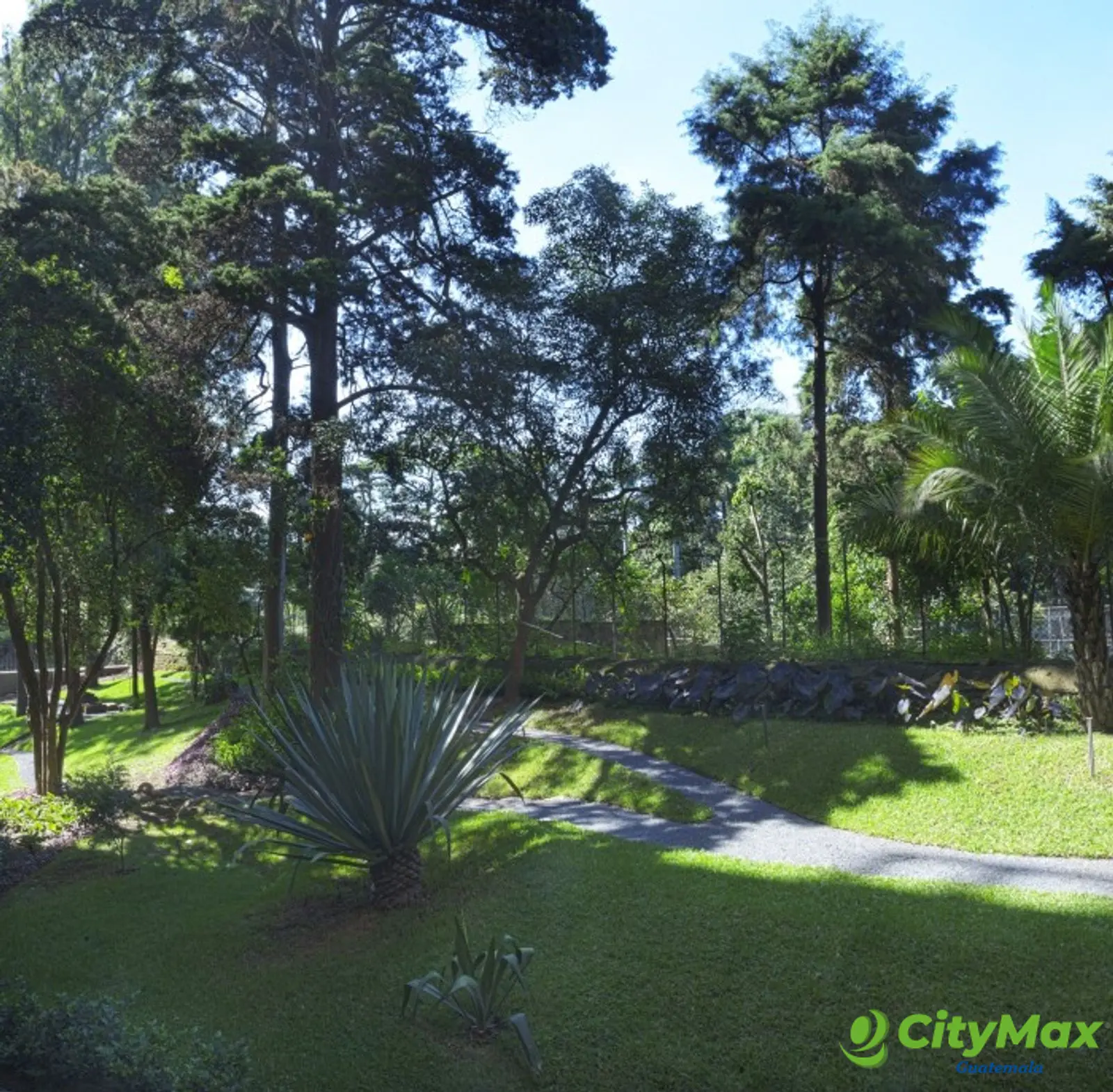 Apartamento en renta con jardín en la zona 10 - foto 12