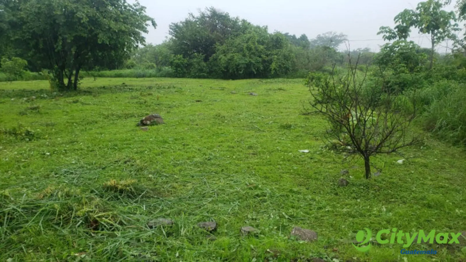 Quintas la Ponderosa lote en venta km 77 Escuintla - foto 5