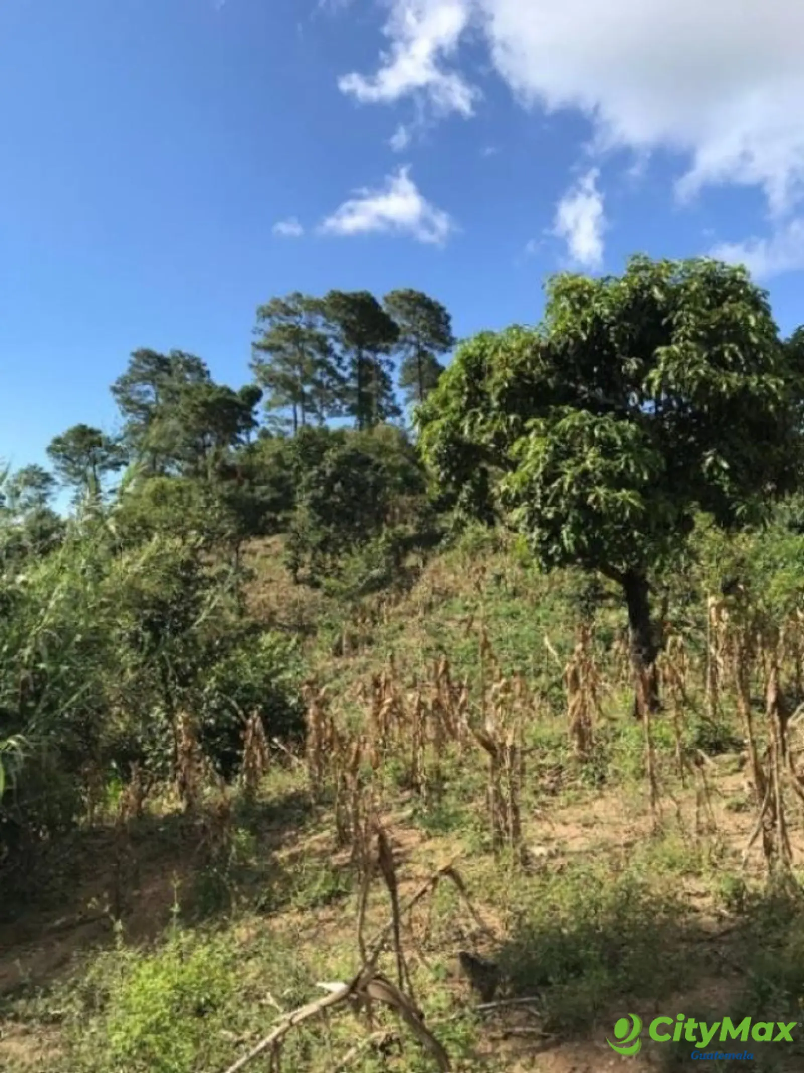 Finca en venta en San Pedro Ayampuc de 7.6 Manzanas - foto 17
