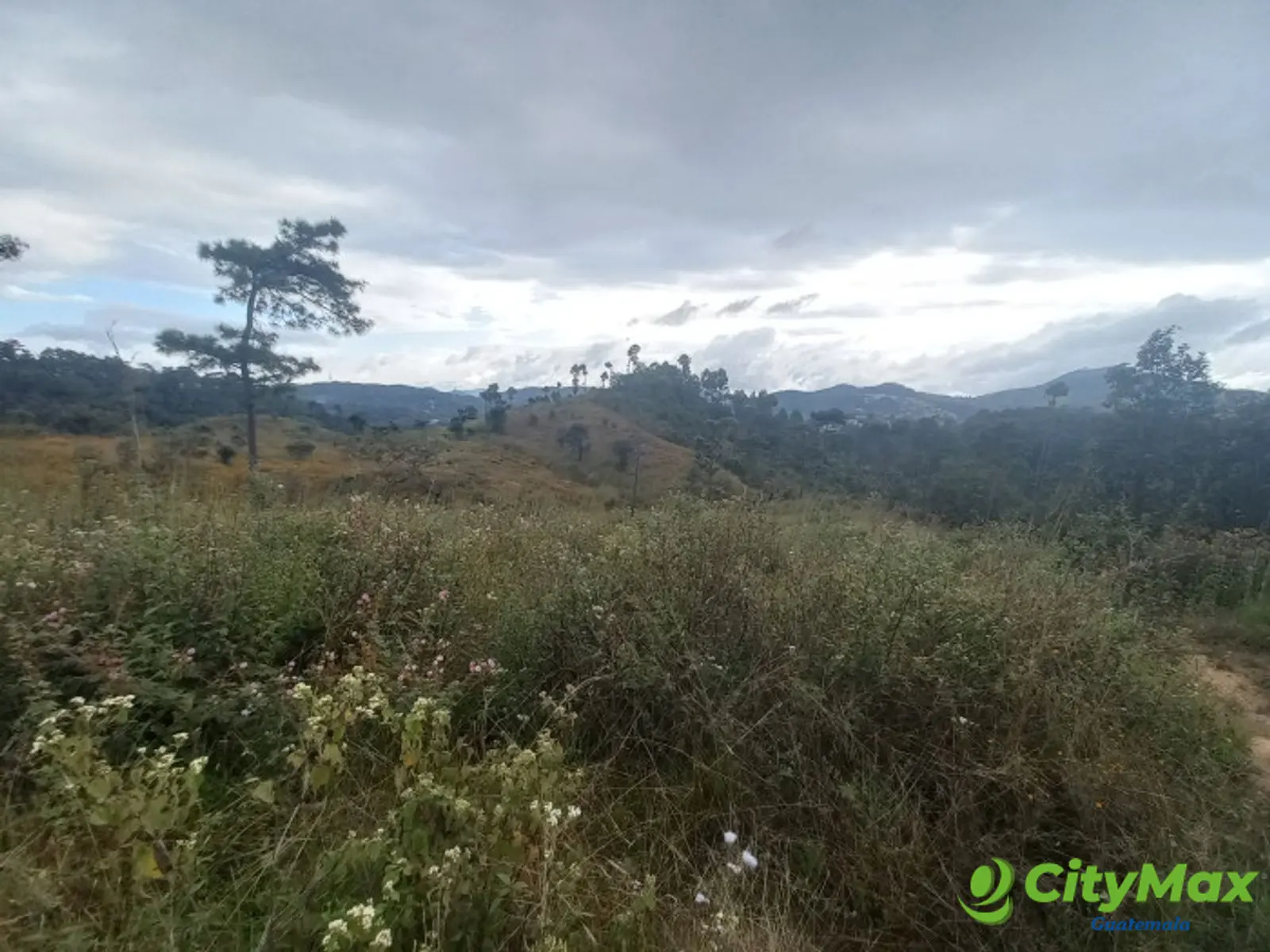 Terreno Comercial área San Pedro Ayampuc - foto 11