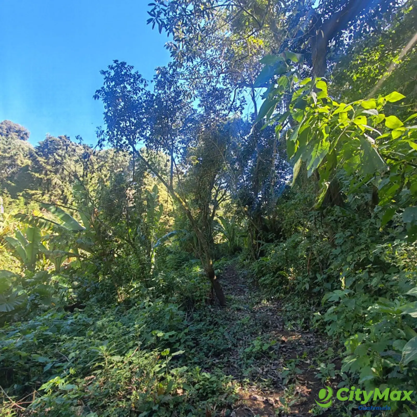 Finca en Venta de 9 manzanas en Fraijanes Guatemala - foto 7