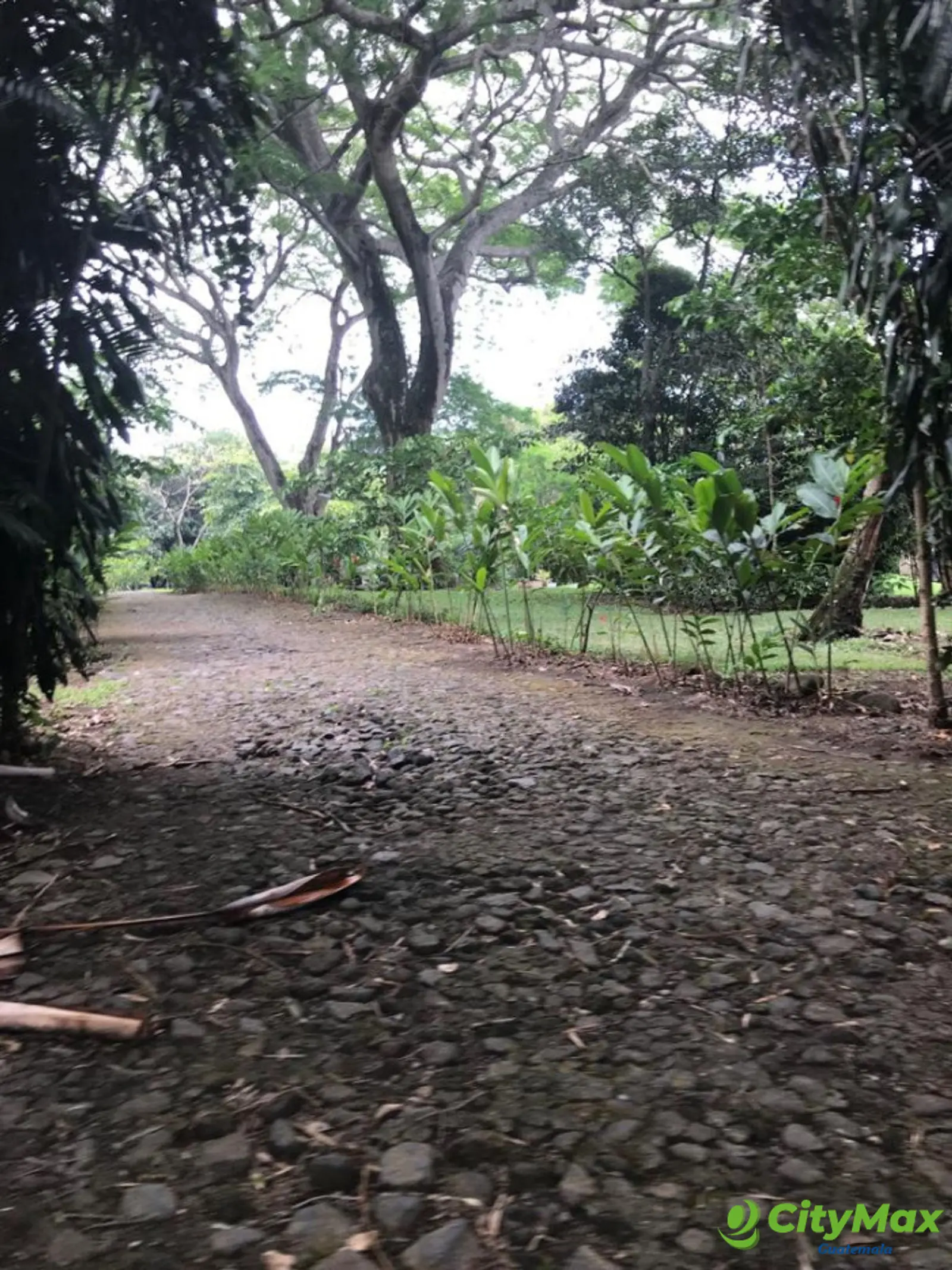 Terreno en Venta Campo Aventura Palin Escuintla - foto 10