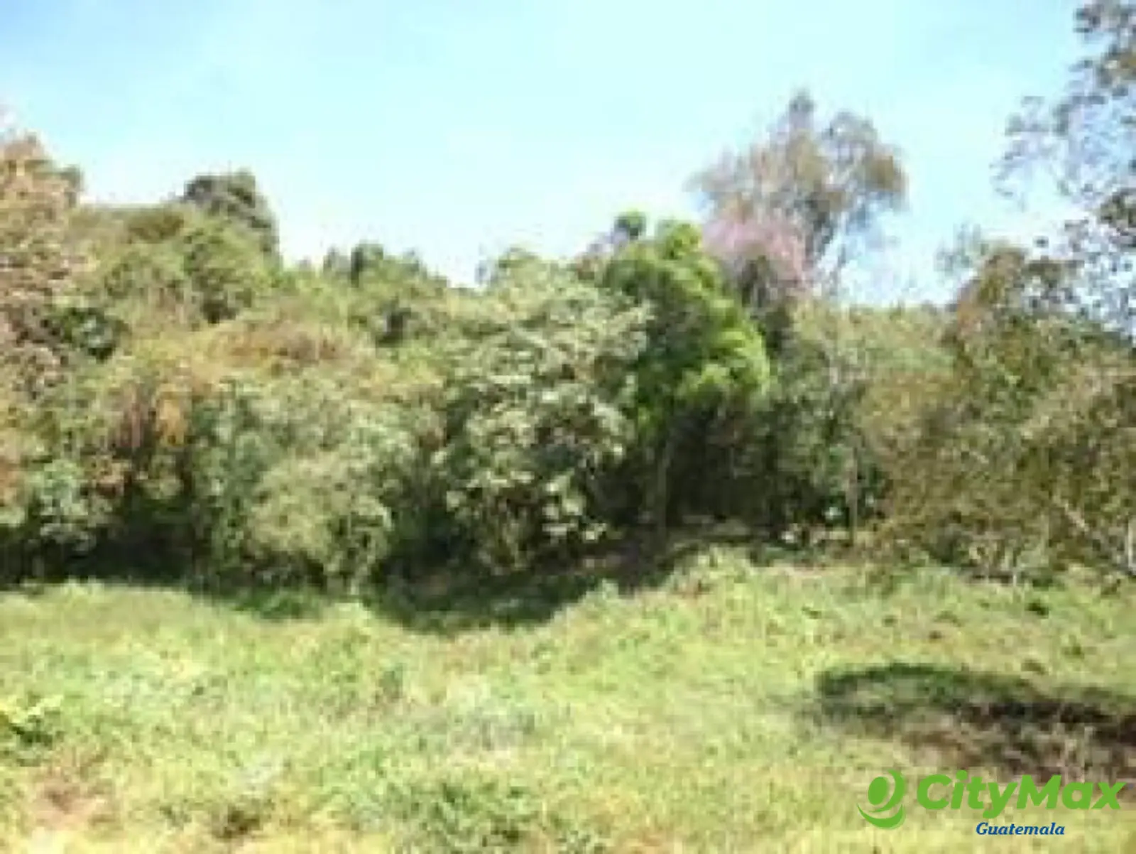 Terreno en Venta en Carretera a El Salvador km 20.5     - foto 5