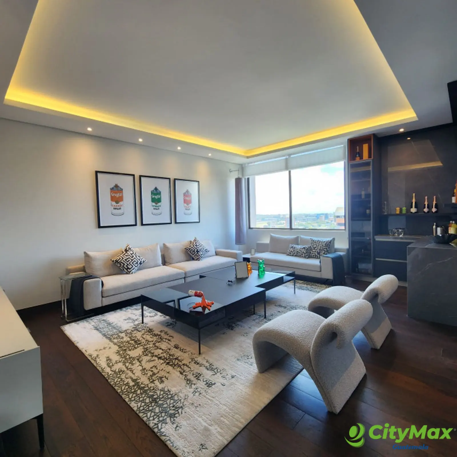 LUJOSO APARTAMENTO EN CIUDAD GUATEMALA ZONA 14 - foto 7