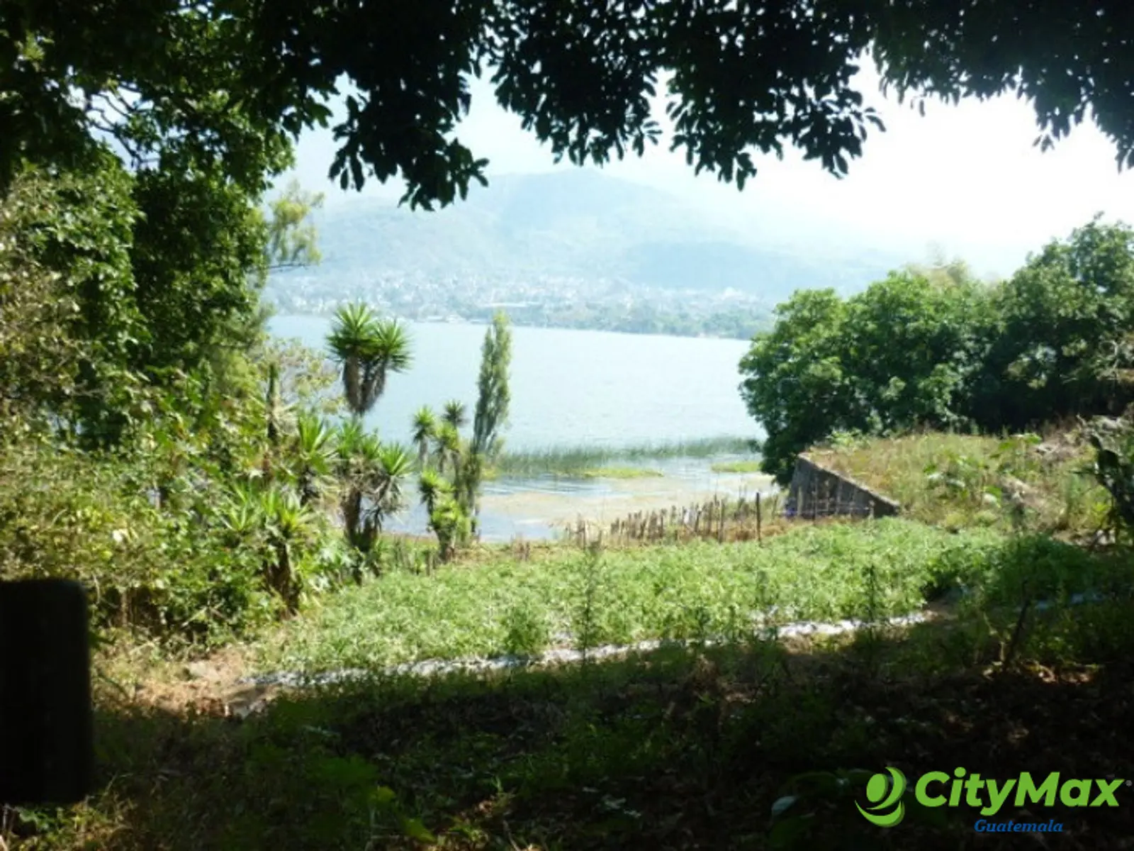 Terreno en venta en Aldea Chuitinamit Santiago Atitlán - foto 2