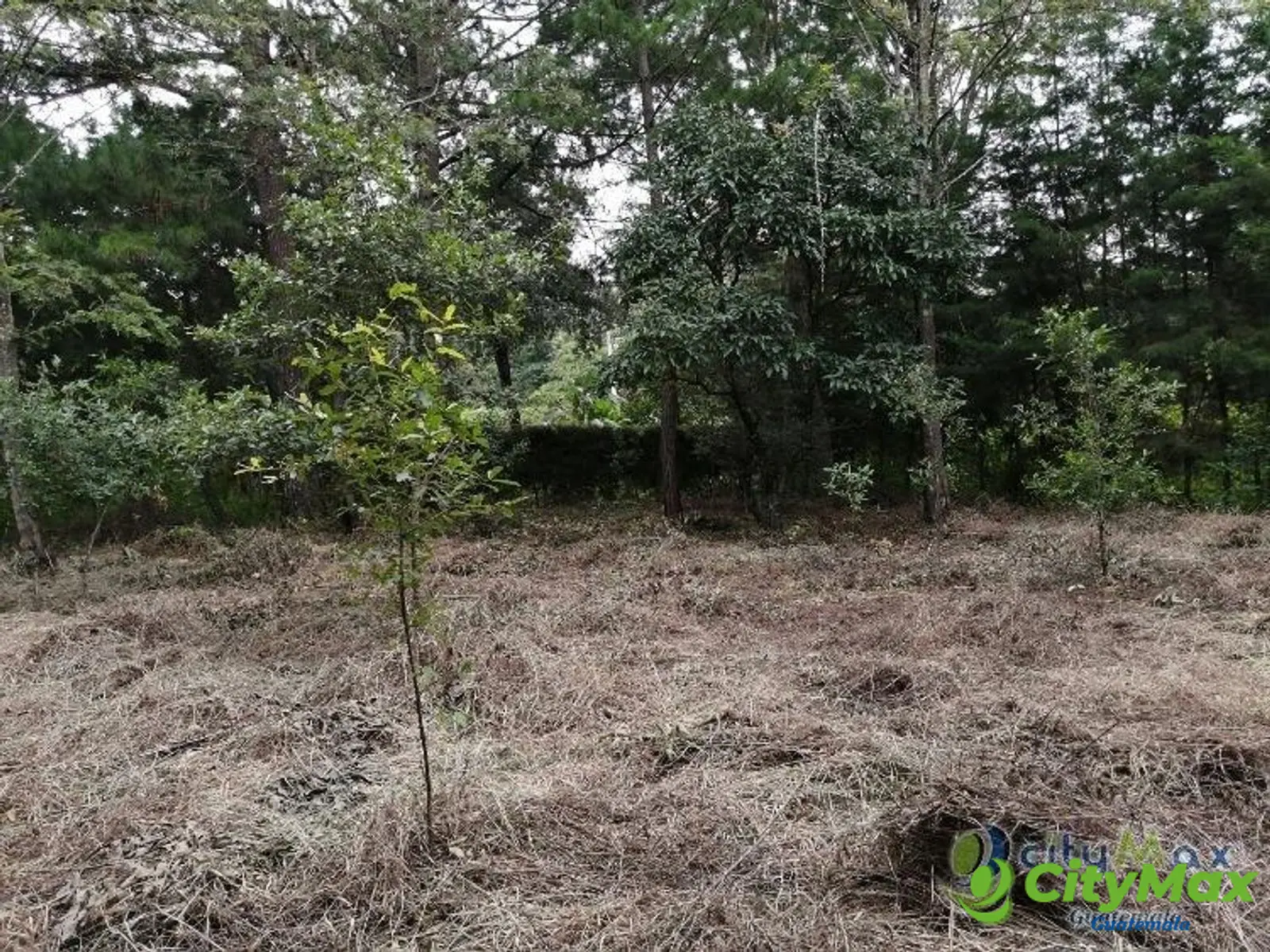 Terreno En Venta Los Horizontes Santo Domingo Xenacoj - foto 5