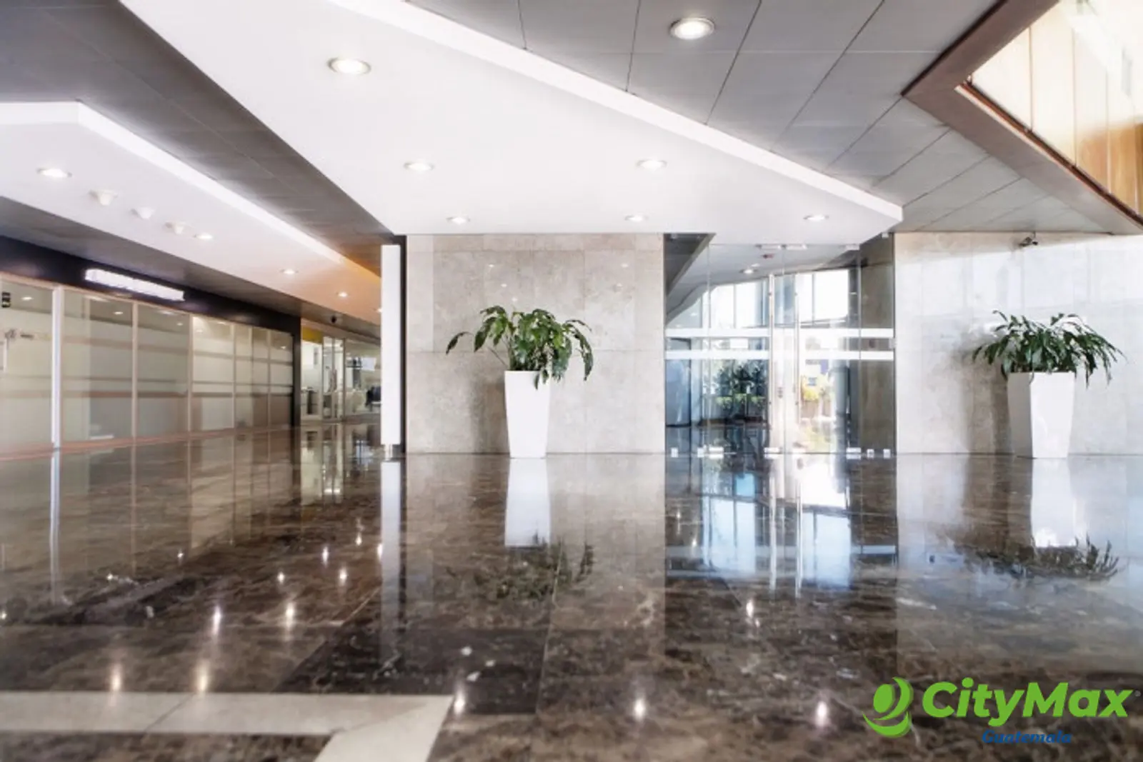 Amplia Oficina en Alquiler Zona Pradera con 151.08 Mts - foto 4